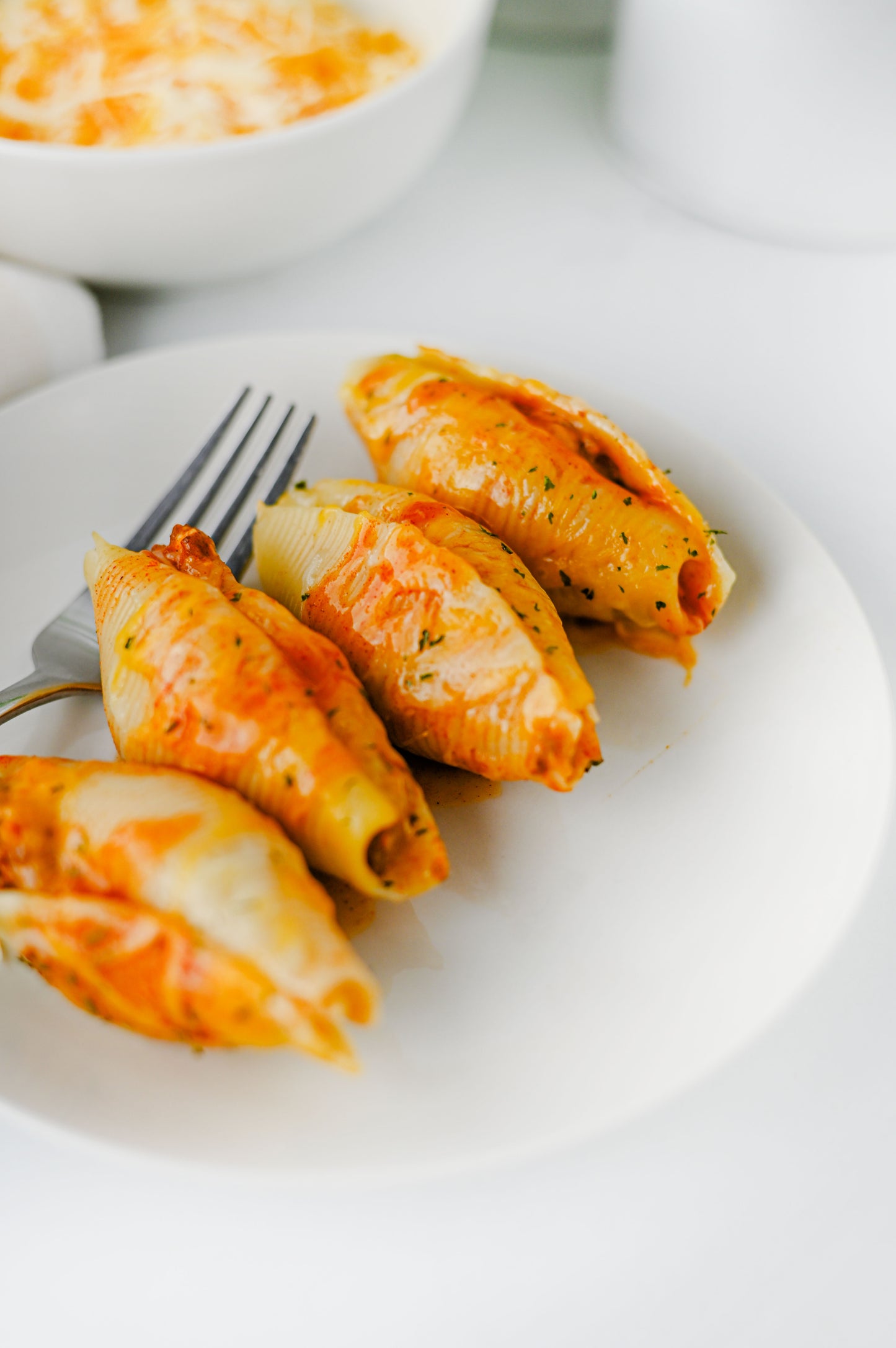 Mexican Stuffed Shells Set #1
