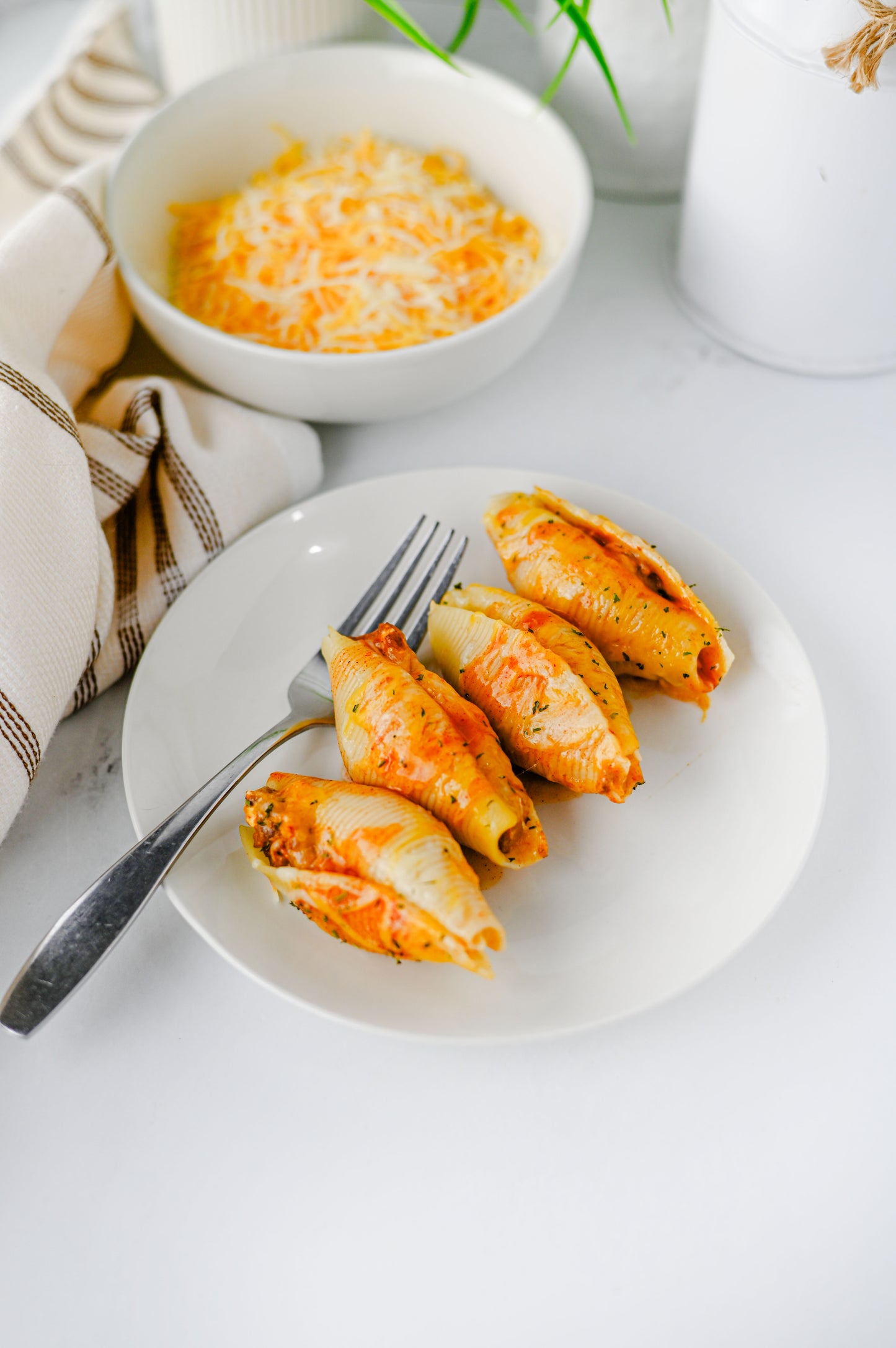 Mexican Stuffed Shells Set #1