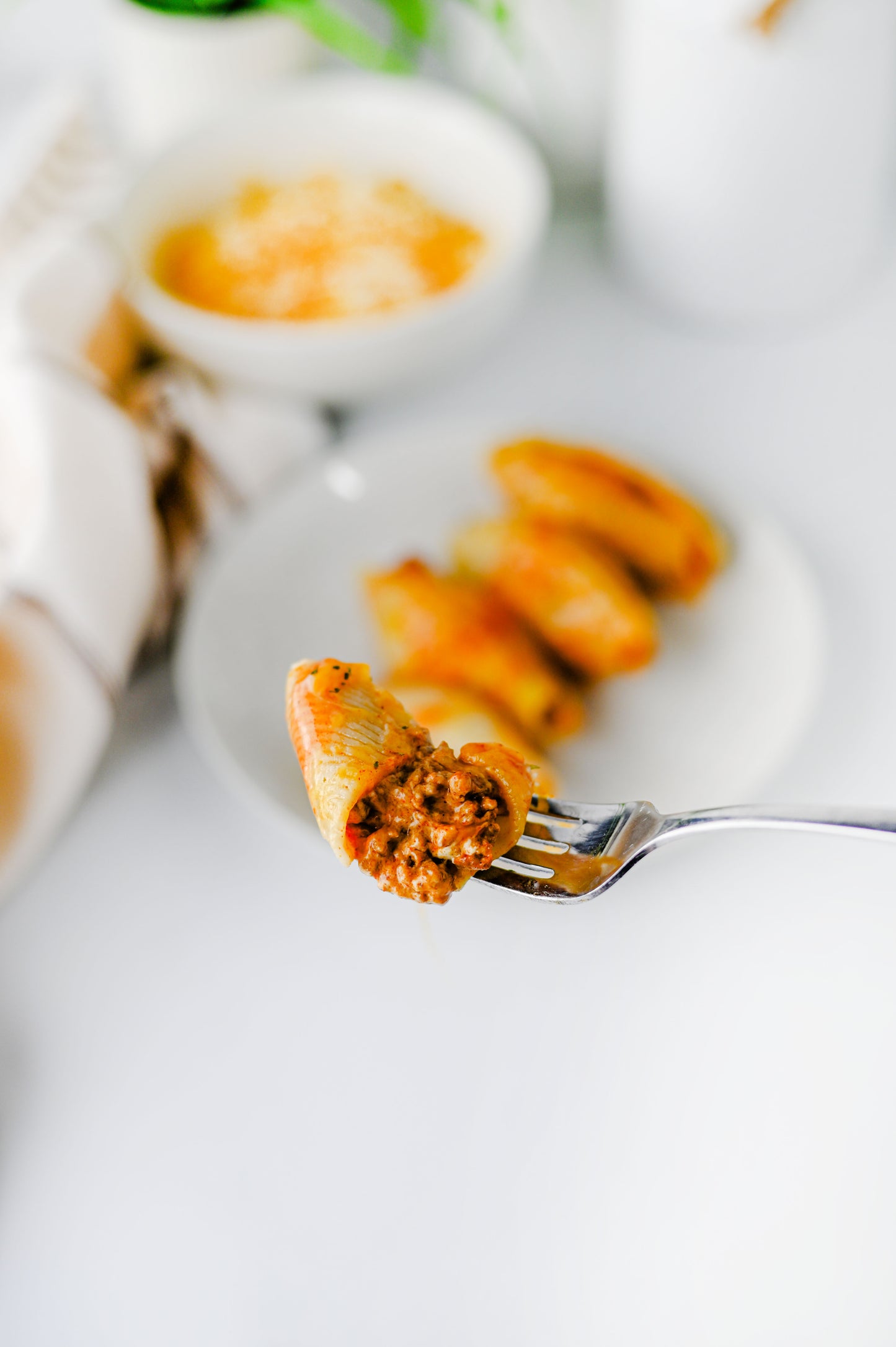 Mexican Stuffed Shells Set #1