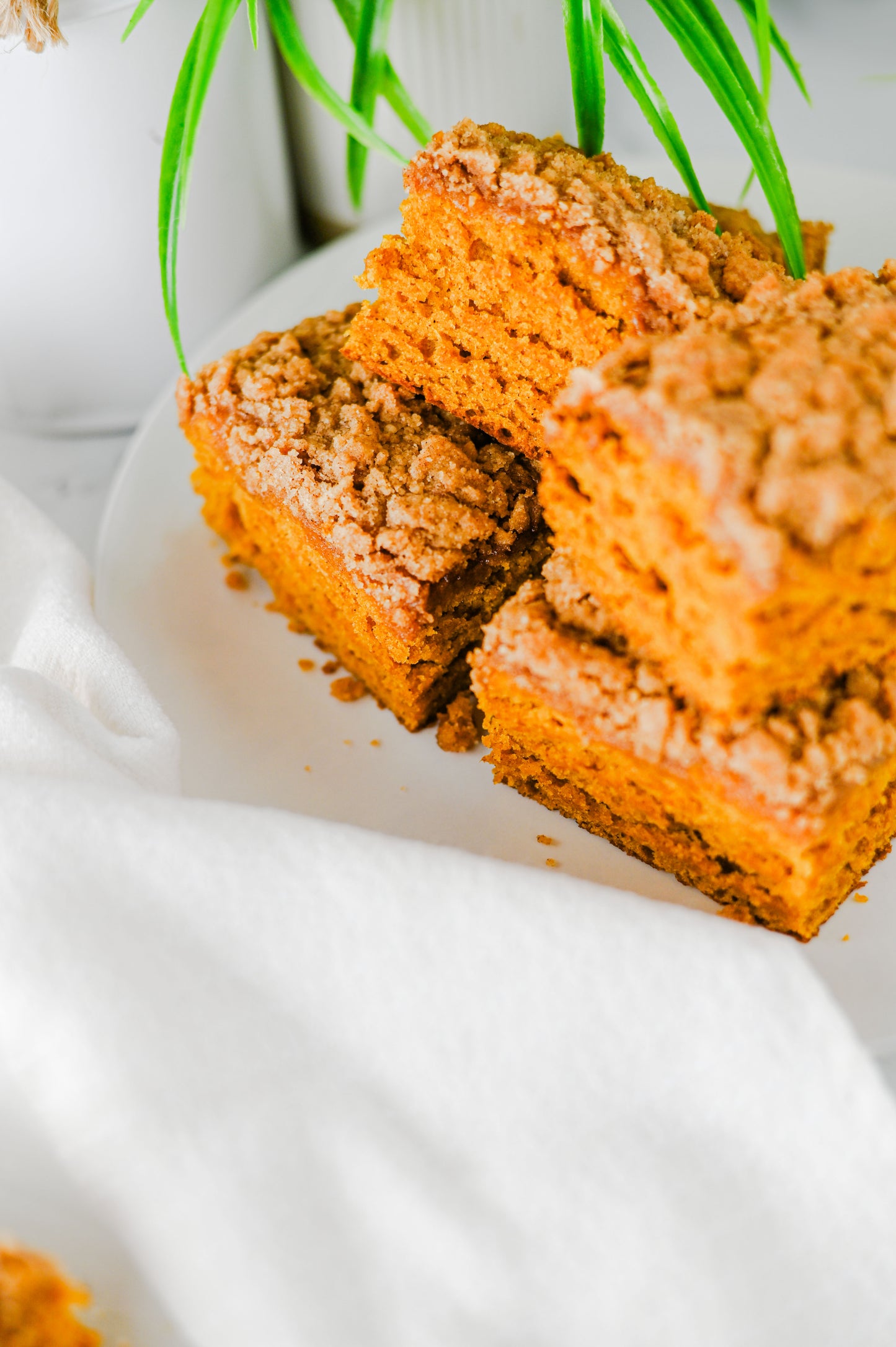 Pumpkin Coffee Cake Set #1