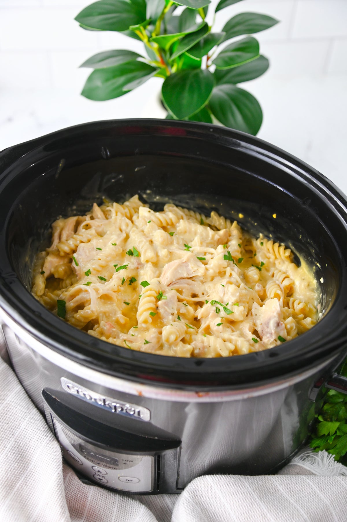 Slow Cooker Ranch Chicken Set #1