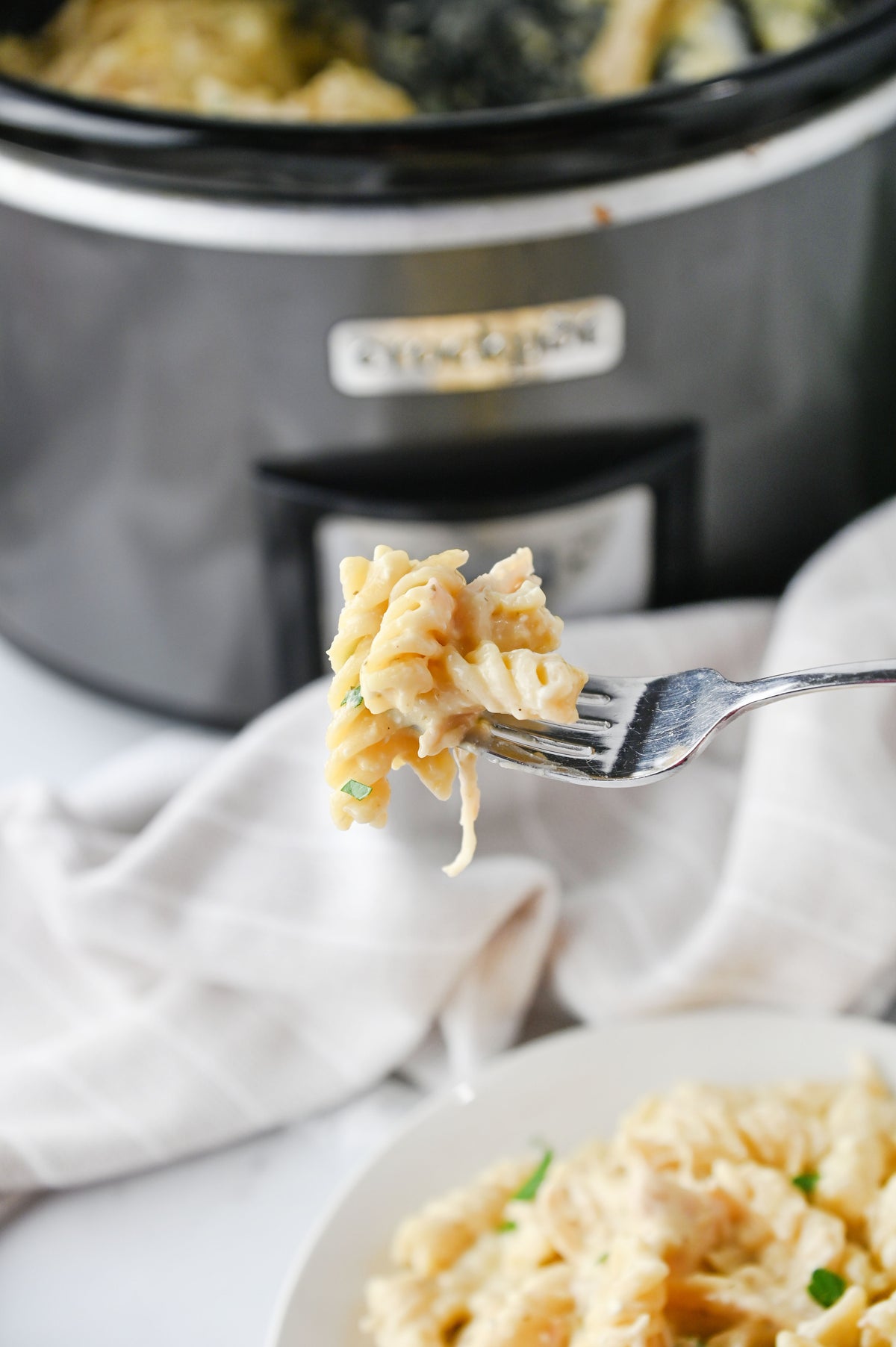 Slow Cooker Ranch Chicken Set #1