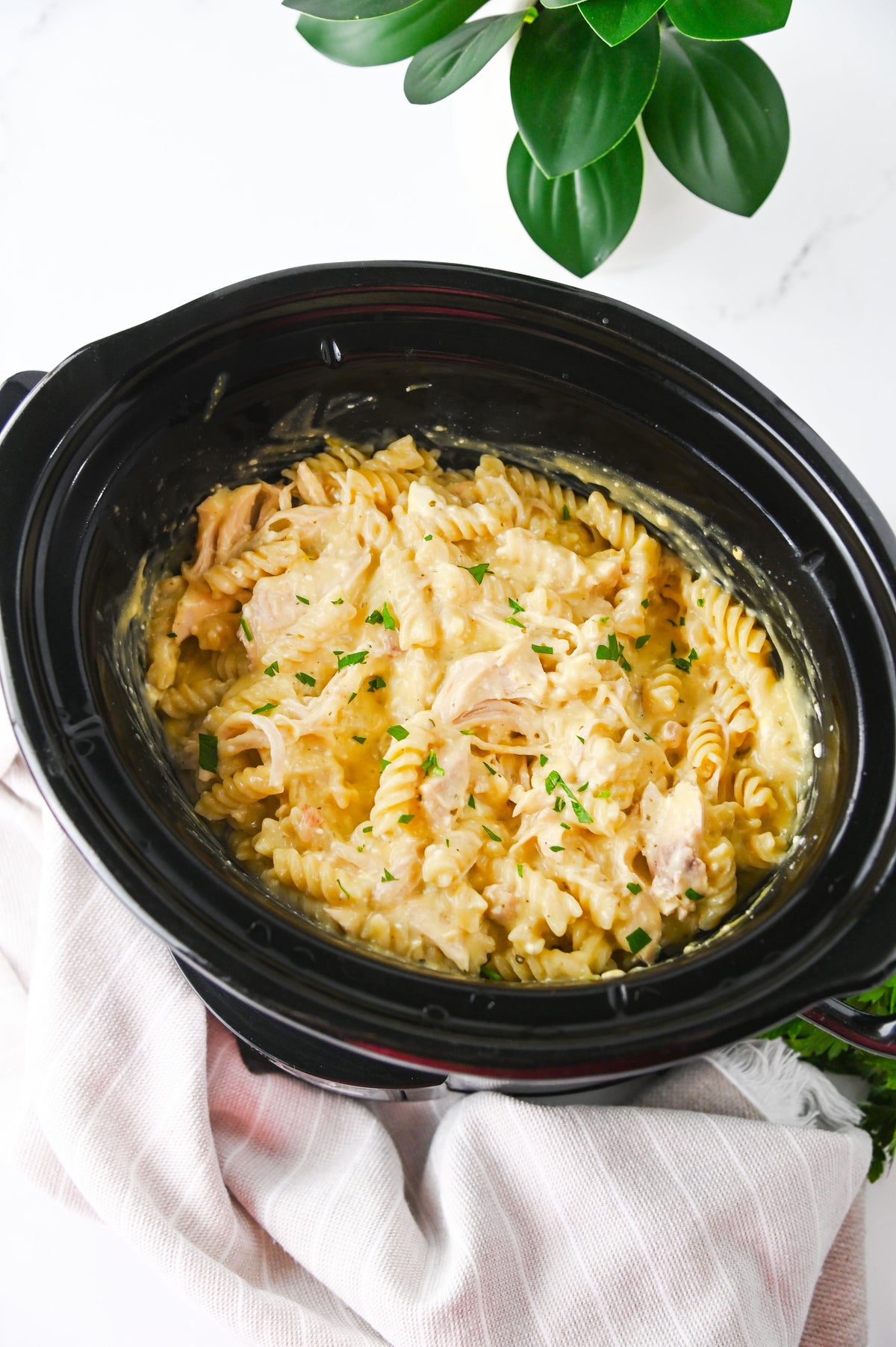 Slow Cooker Ranch Chicken Set #1