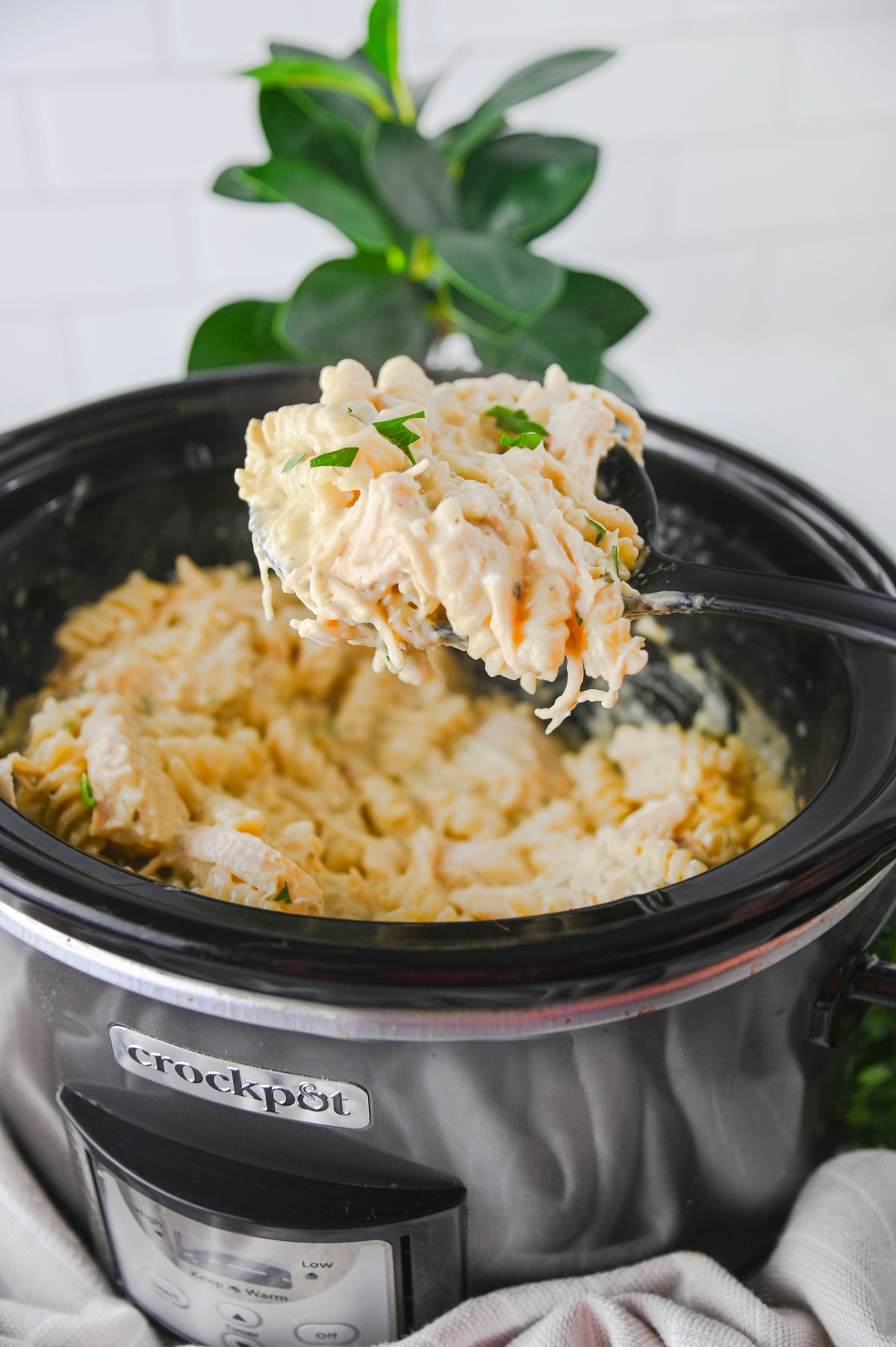 Slow Cooker Ranch Chicken Set #1