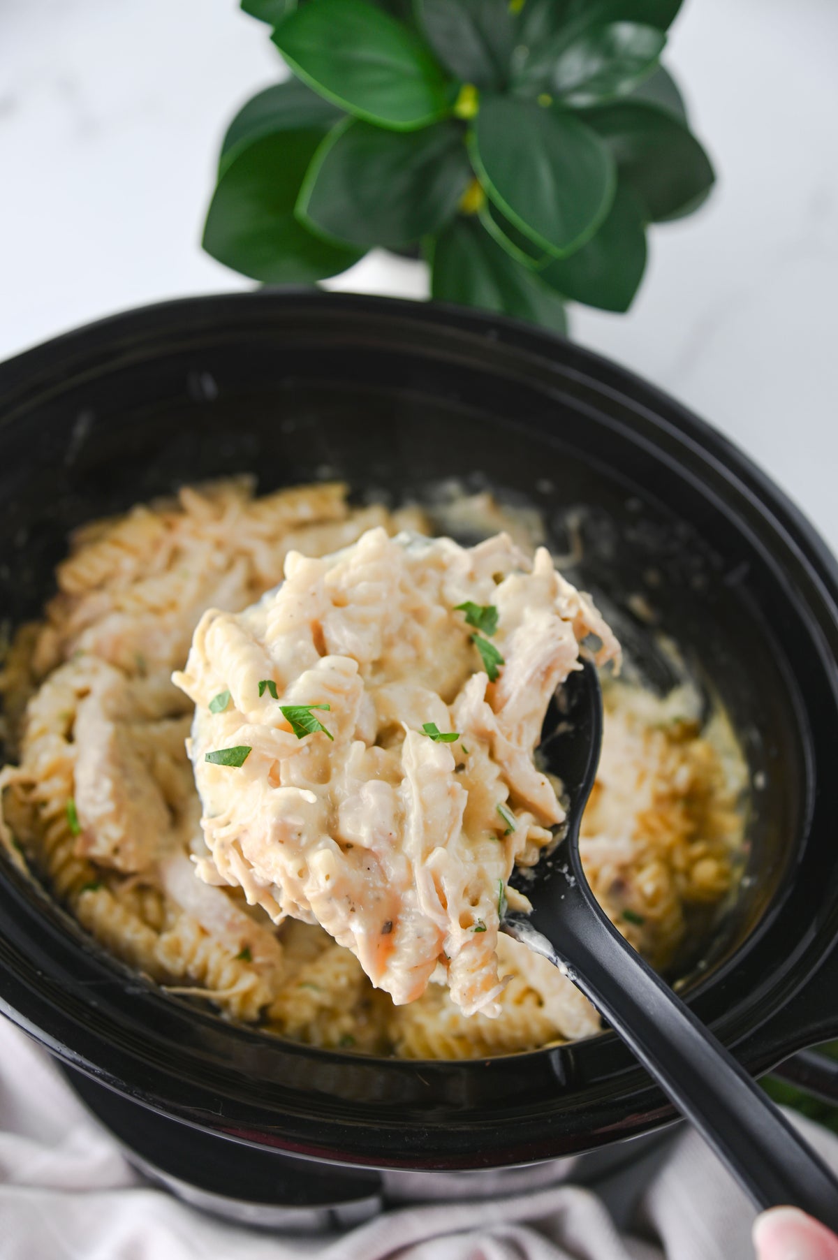 Slow Cooker Ranch Chicken Set #1