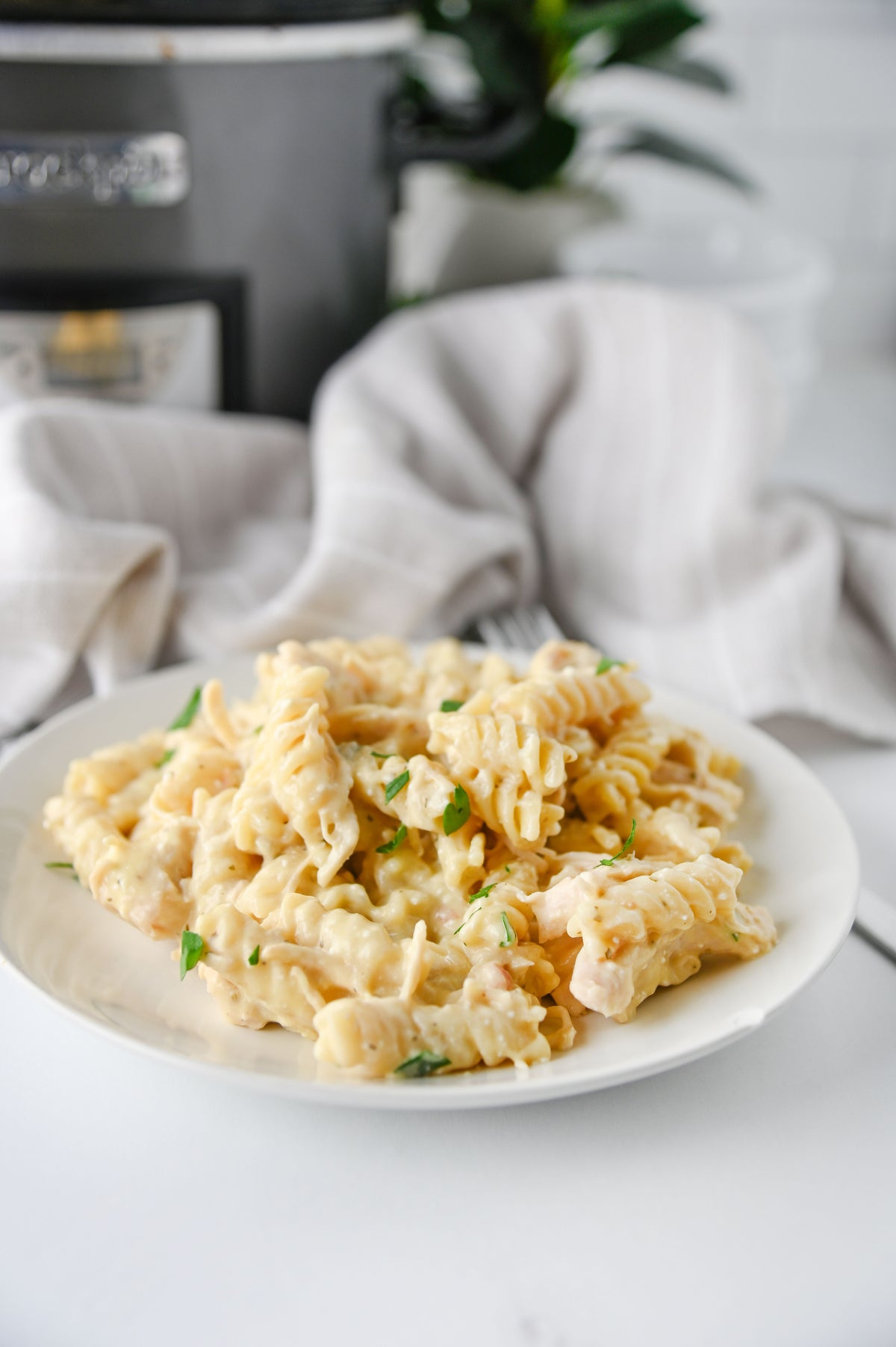 Slow Cooker Ranch Chicken Set #1