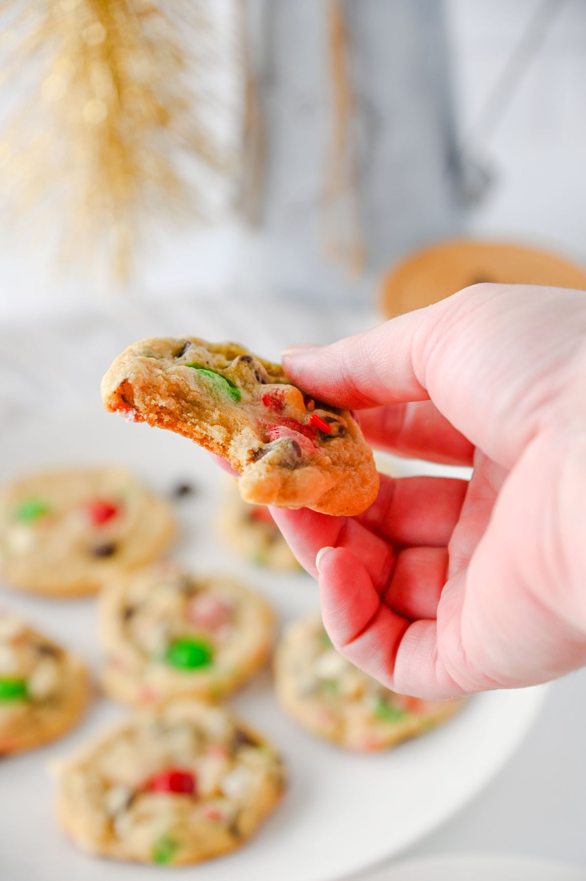 Santa's Favorite Cookies Set #1