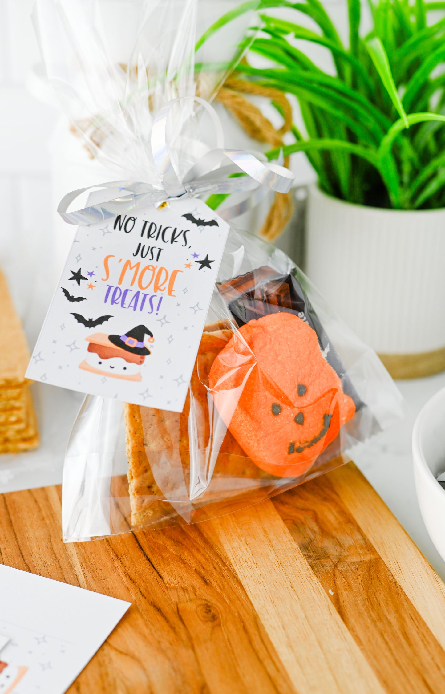 S'more Treats Treat Bag Set #1