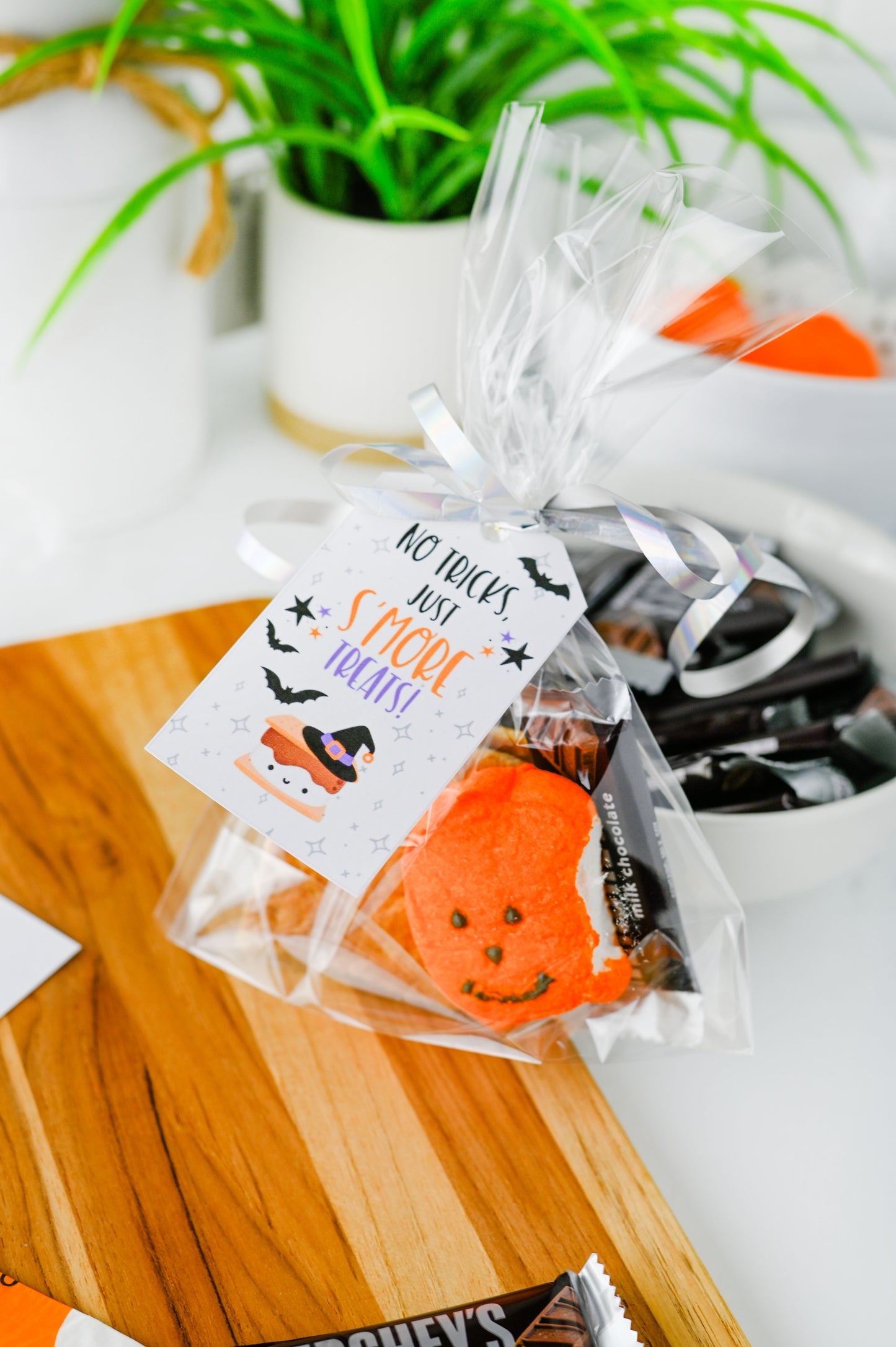 S'more Treats Treat Bag Set #1