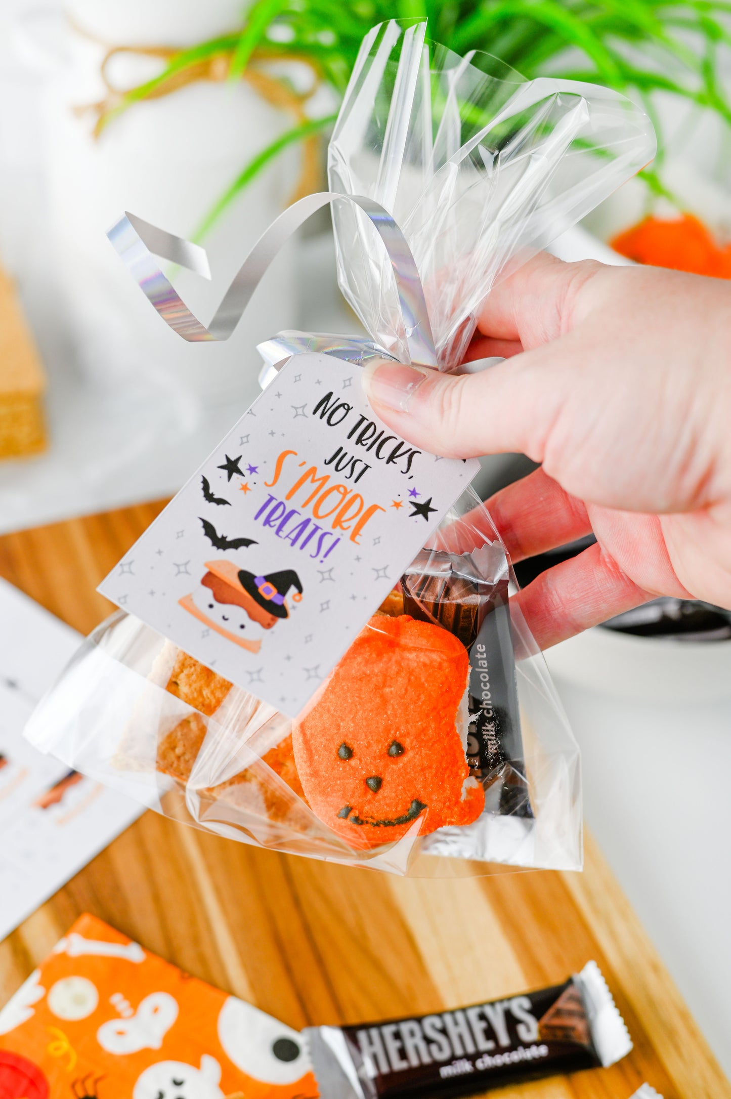 S'more Treats Treat Bag Set #1