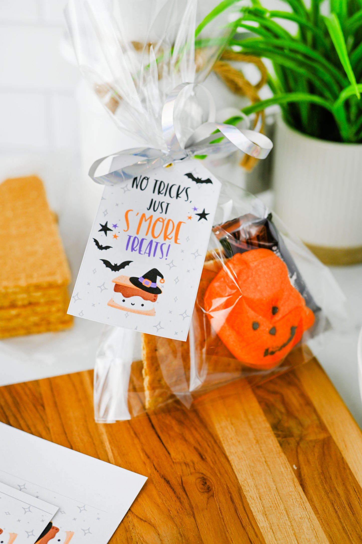 S'more Treats Treat Bag Set #1
