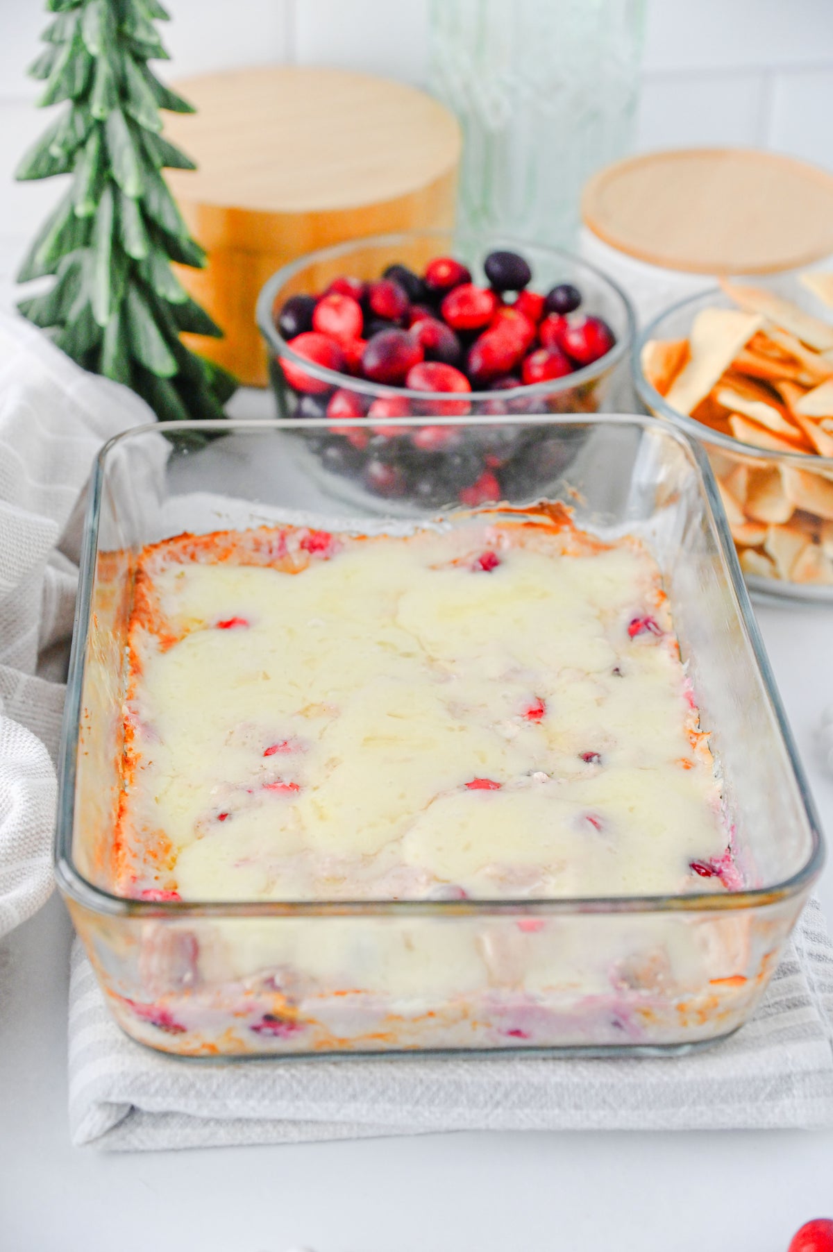 White Cheddar Cranberry Dip Set #1