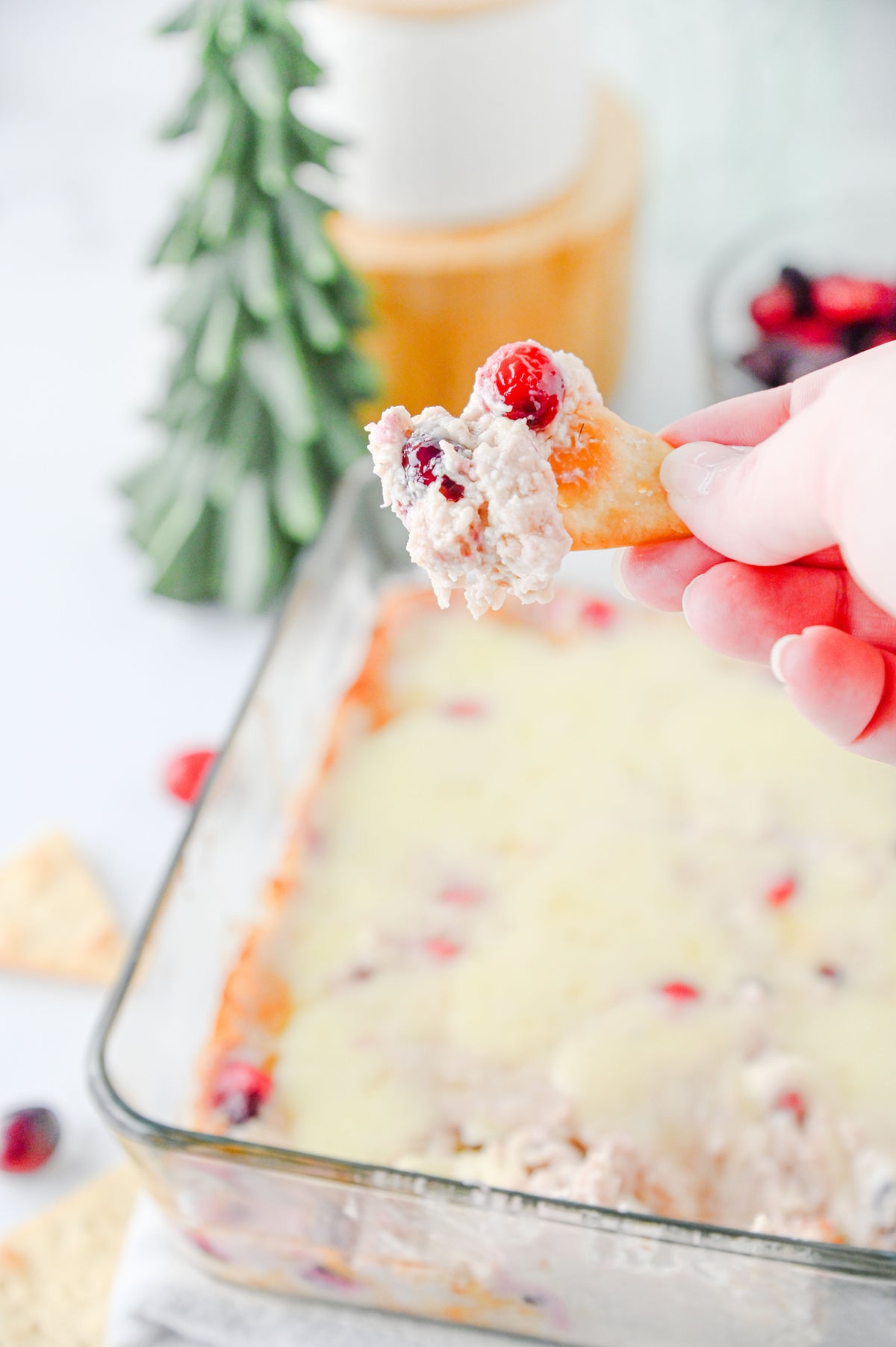 White Cheddar Cranberry Dip Set #1