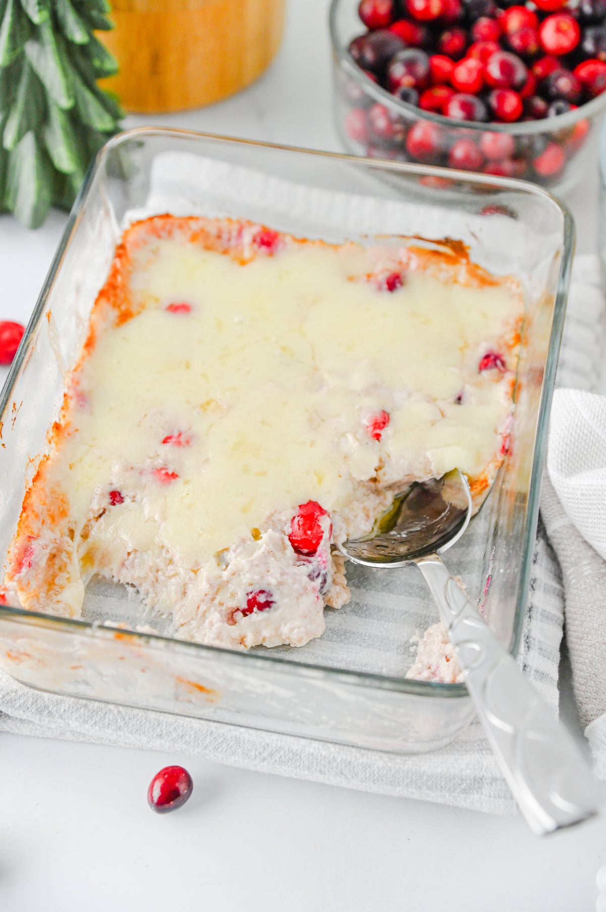 White Cheddar Cranberry Dip Set #1