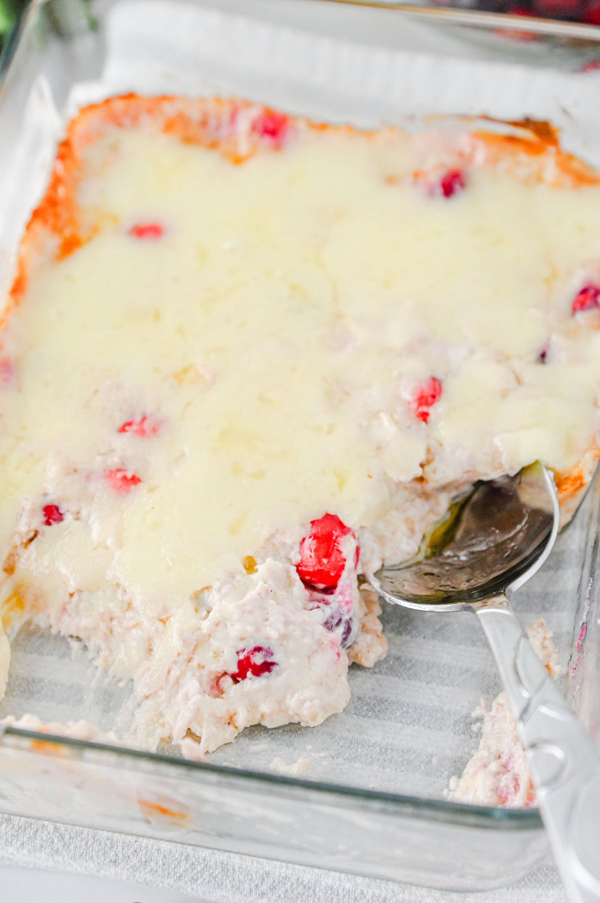 White Cheddar Cranberry Dip Set #1