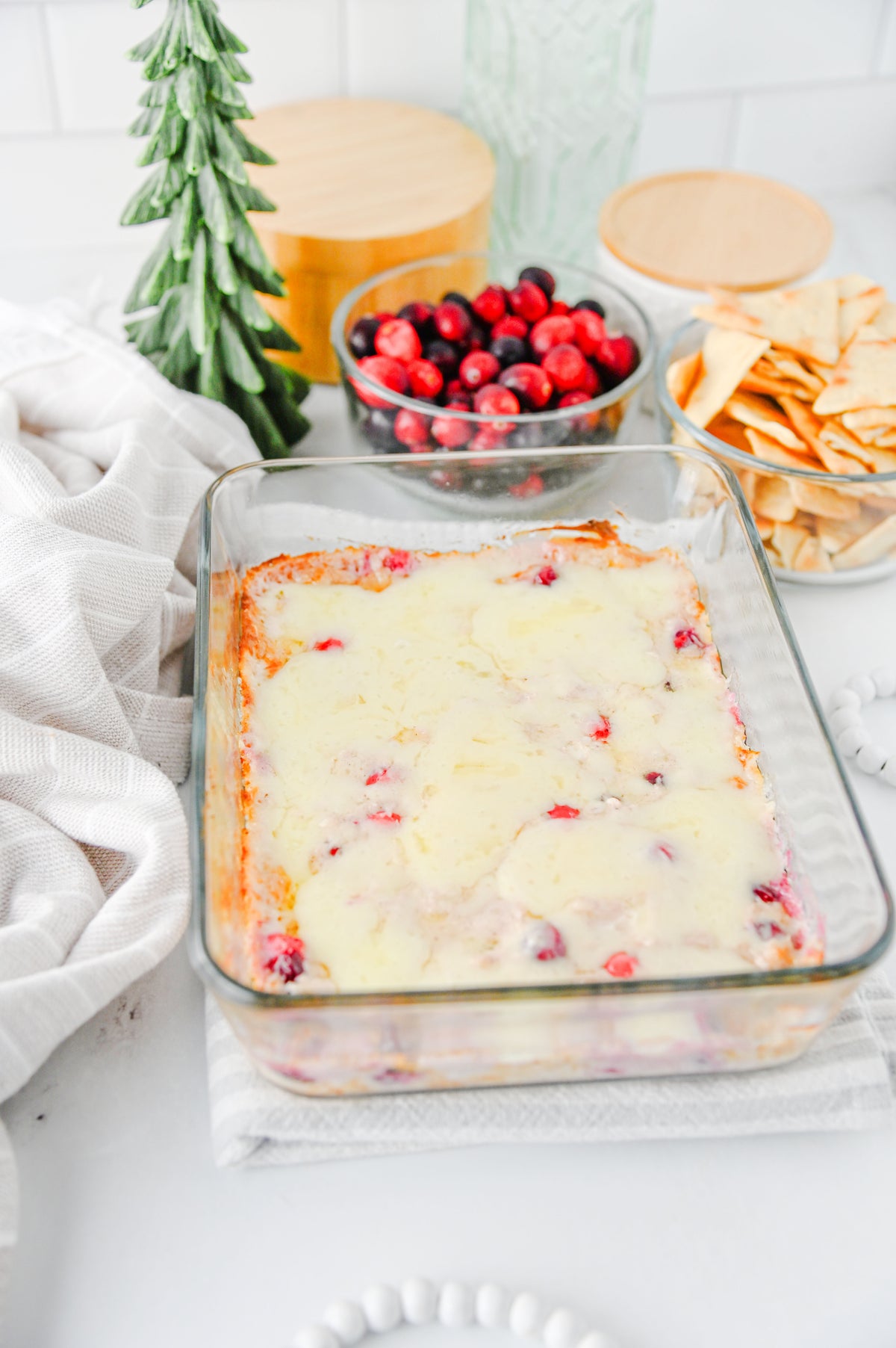 White Cheddar Cranberry Dip Set #1