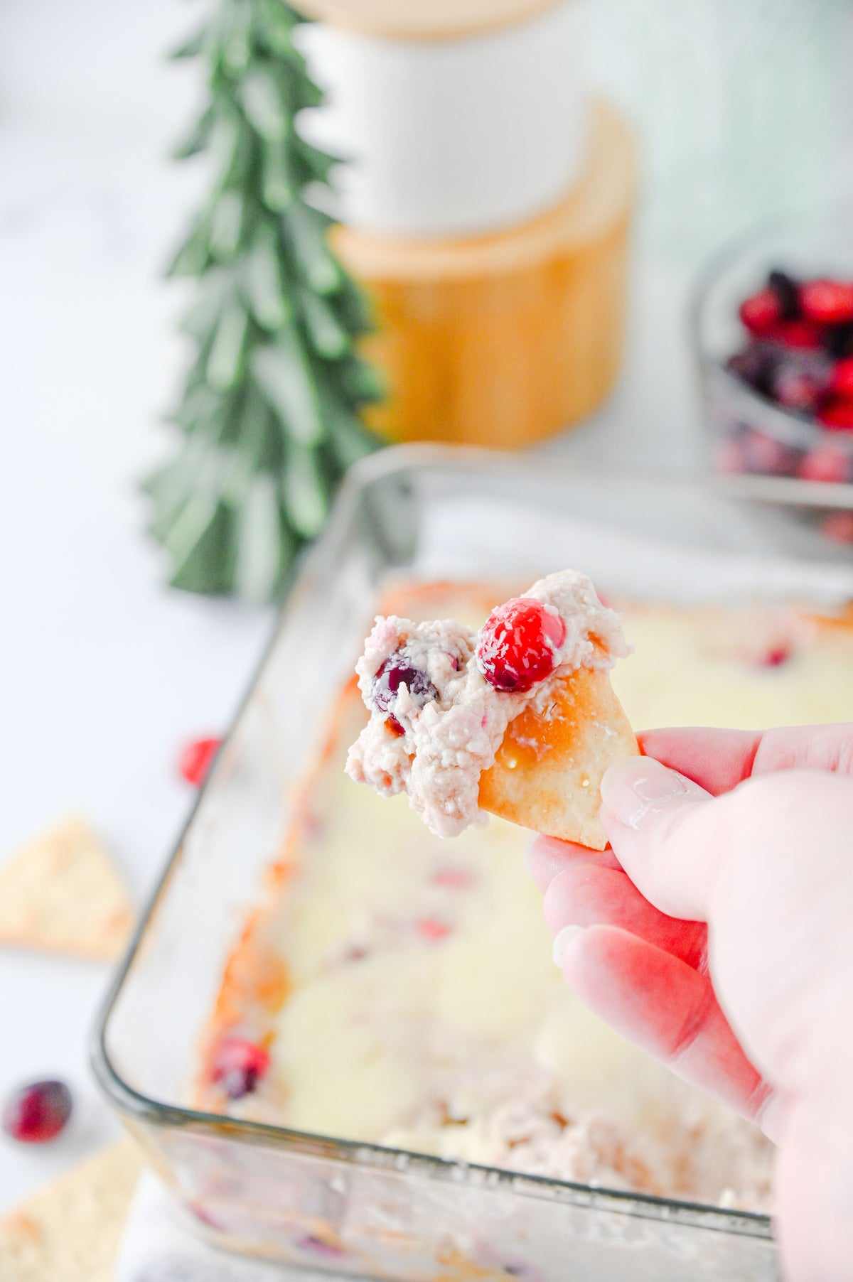 White Cheddar Cranberry Dip Set #1
