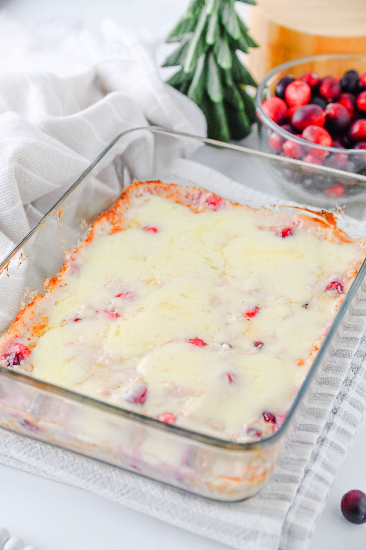 White Cheddar Cranberry Dip Set #1
