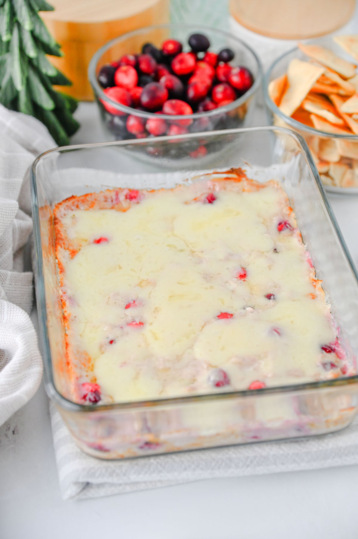 White Cheddar Cranberry Dip Set #1