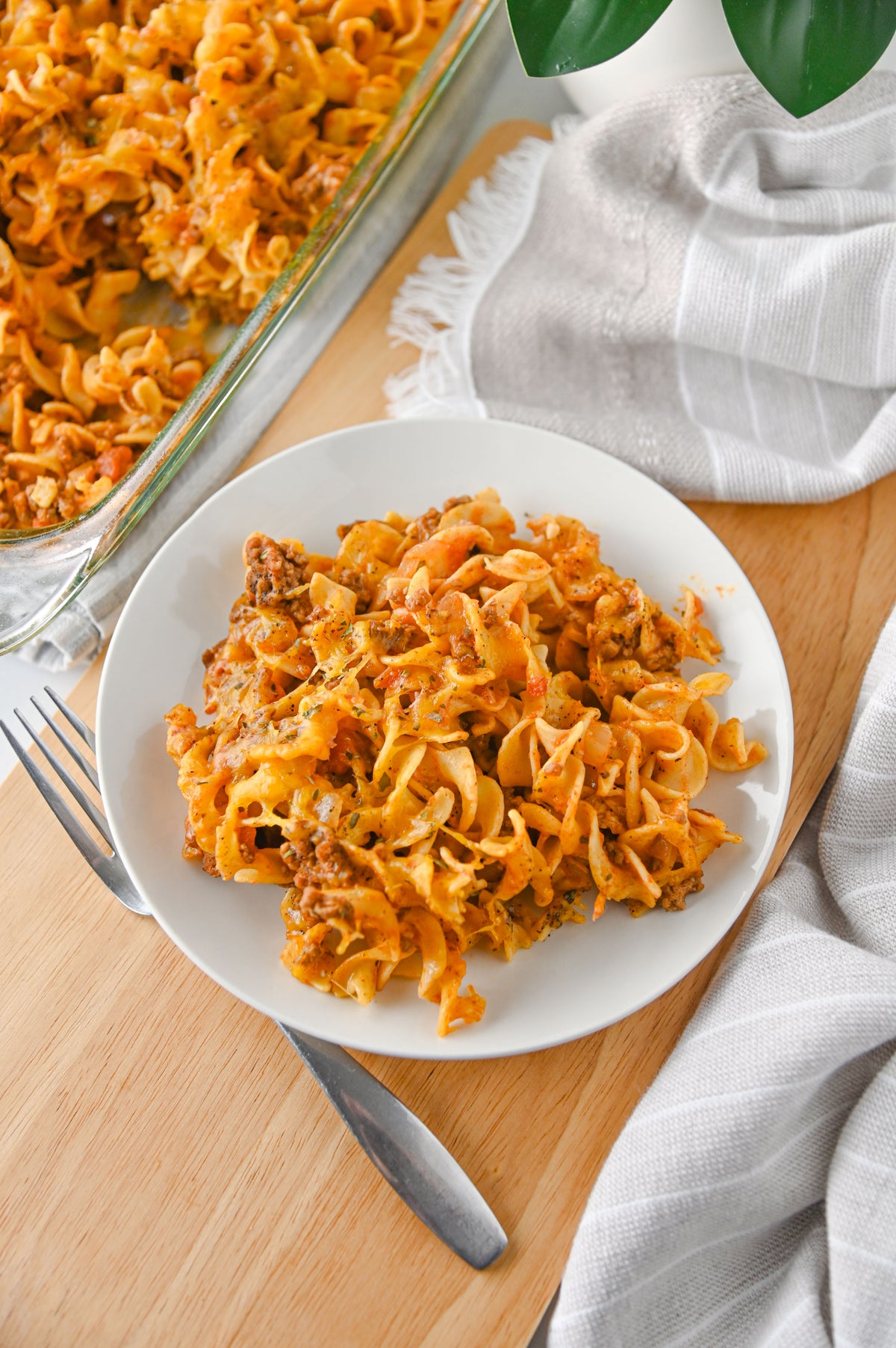 Beef Noodle Casserole Set #2