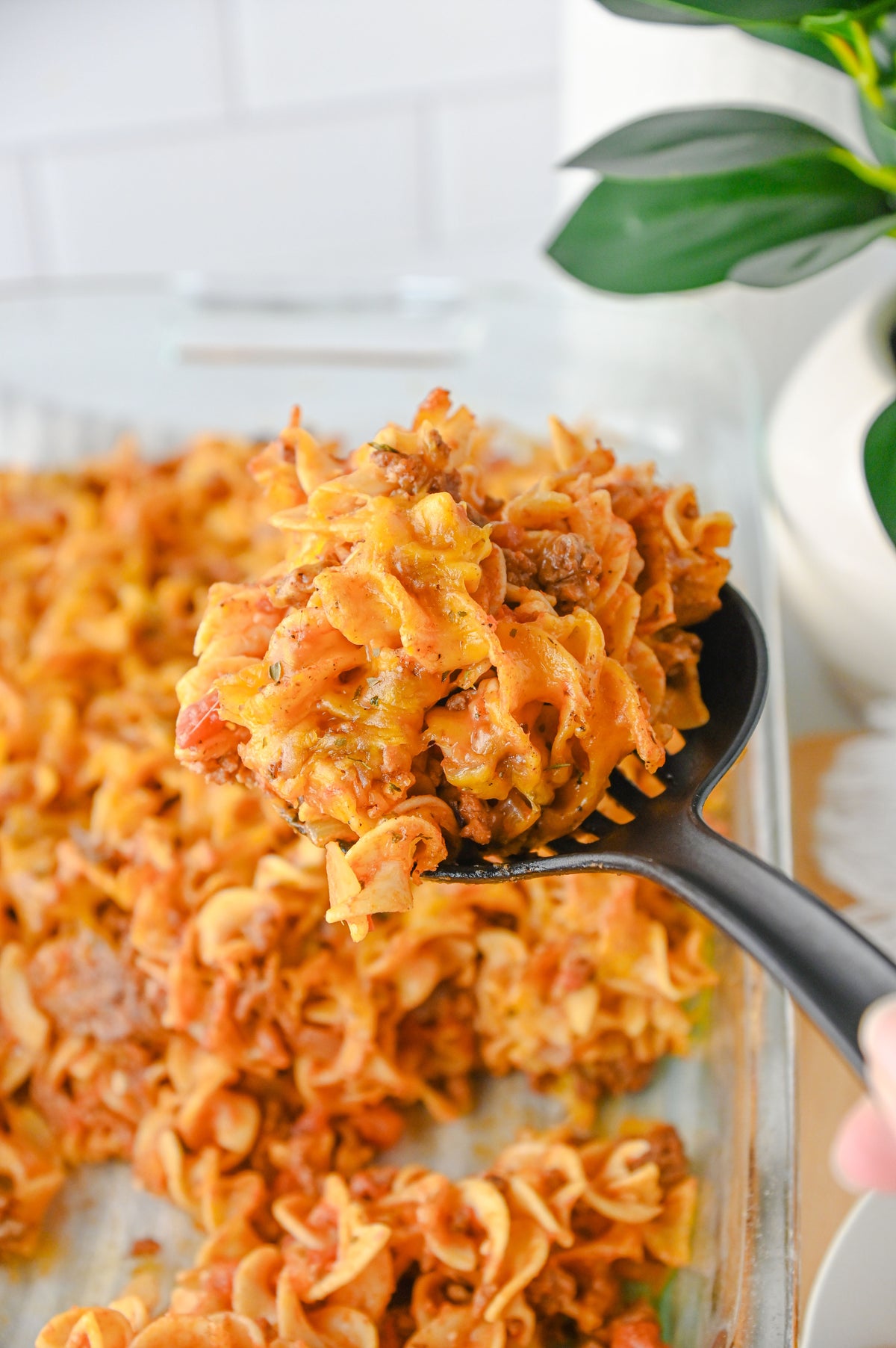 Beef Noodle Casserole Set #2