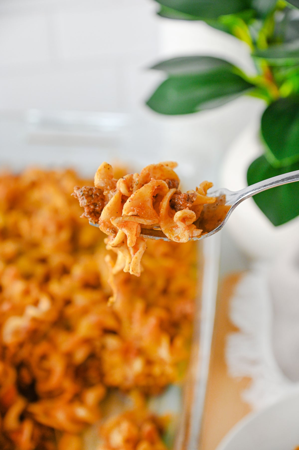 Beef Noodle Casserole Set #2