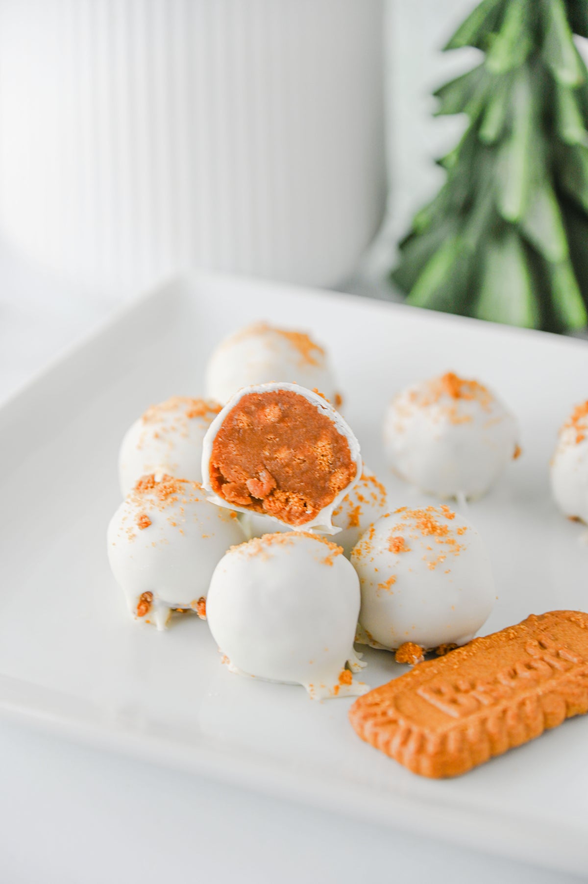 Biscoff Truffles Set #2