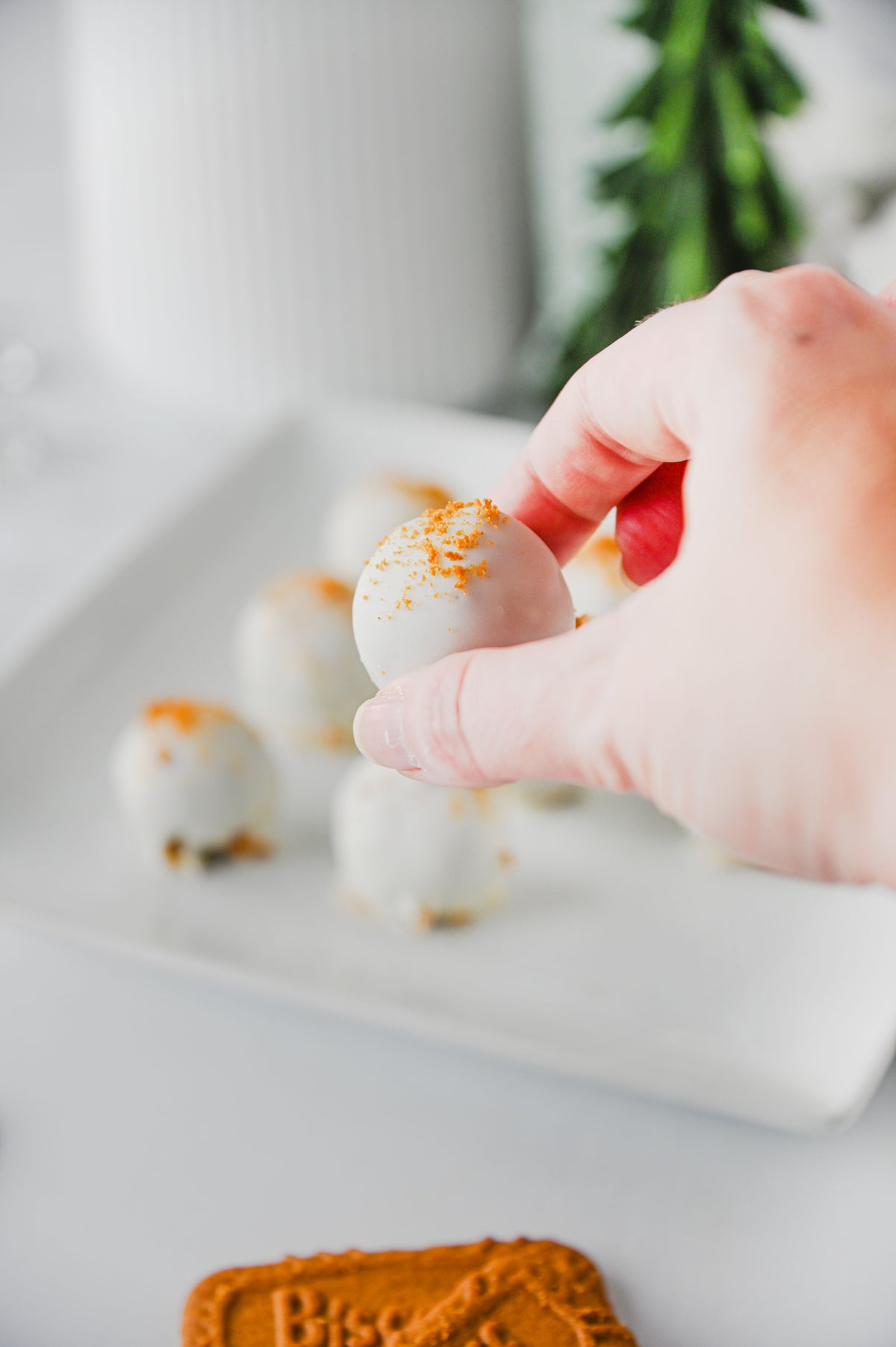 Biscoff Truffles Set #2