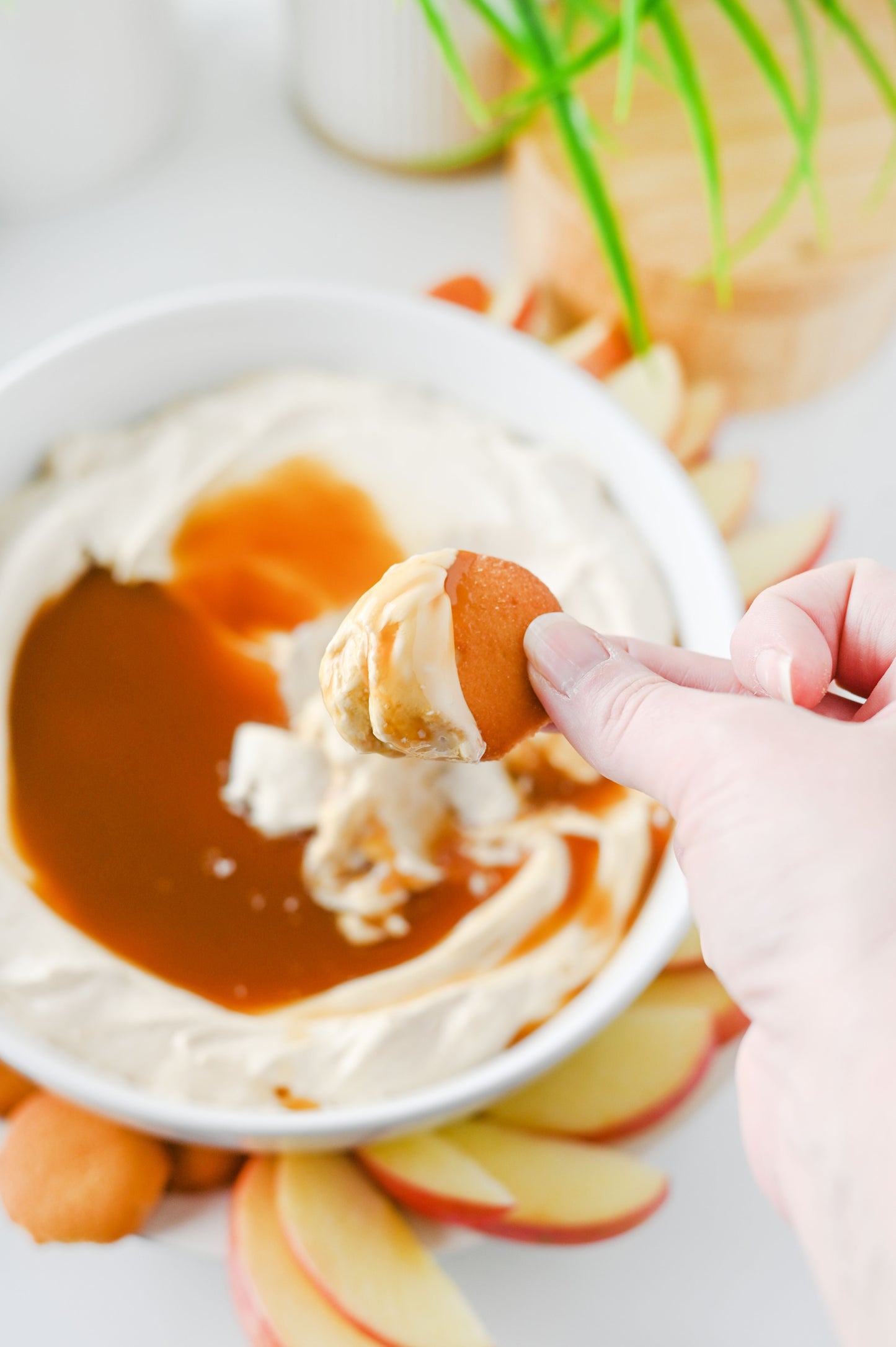 Caramel Apple Cheesecake Dip Set #2