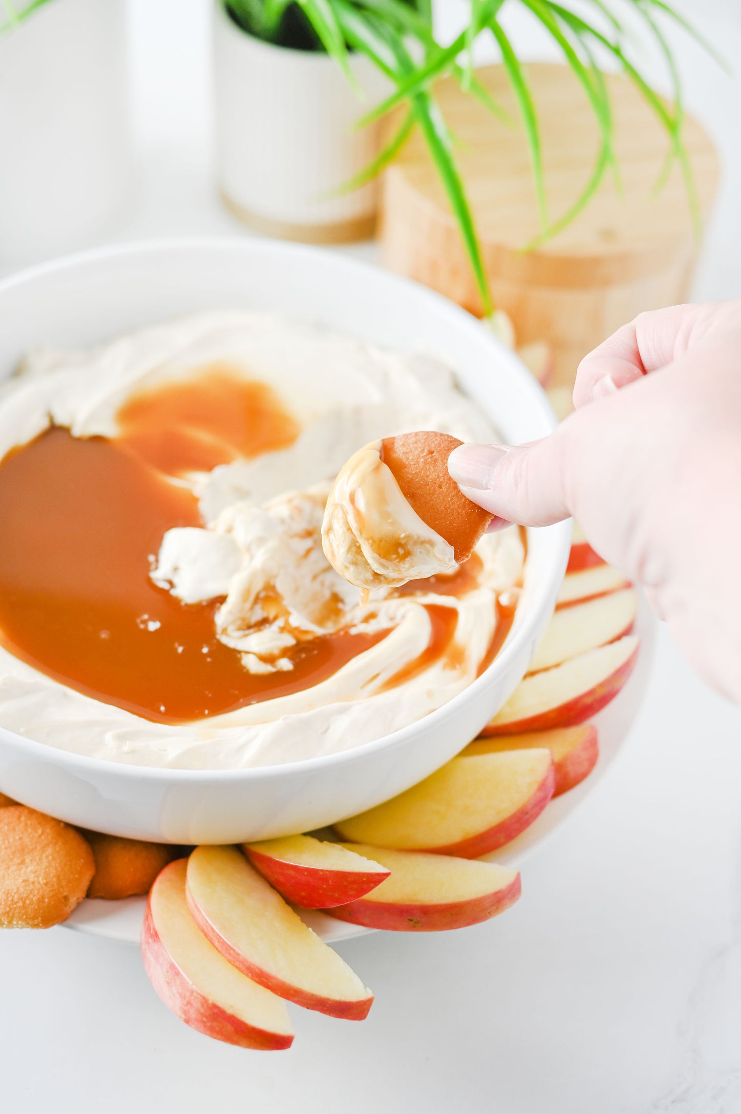 Caramel Apple Cheesecake Dip Set #2