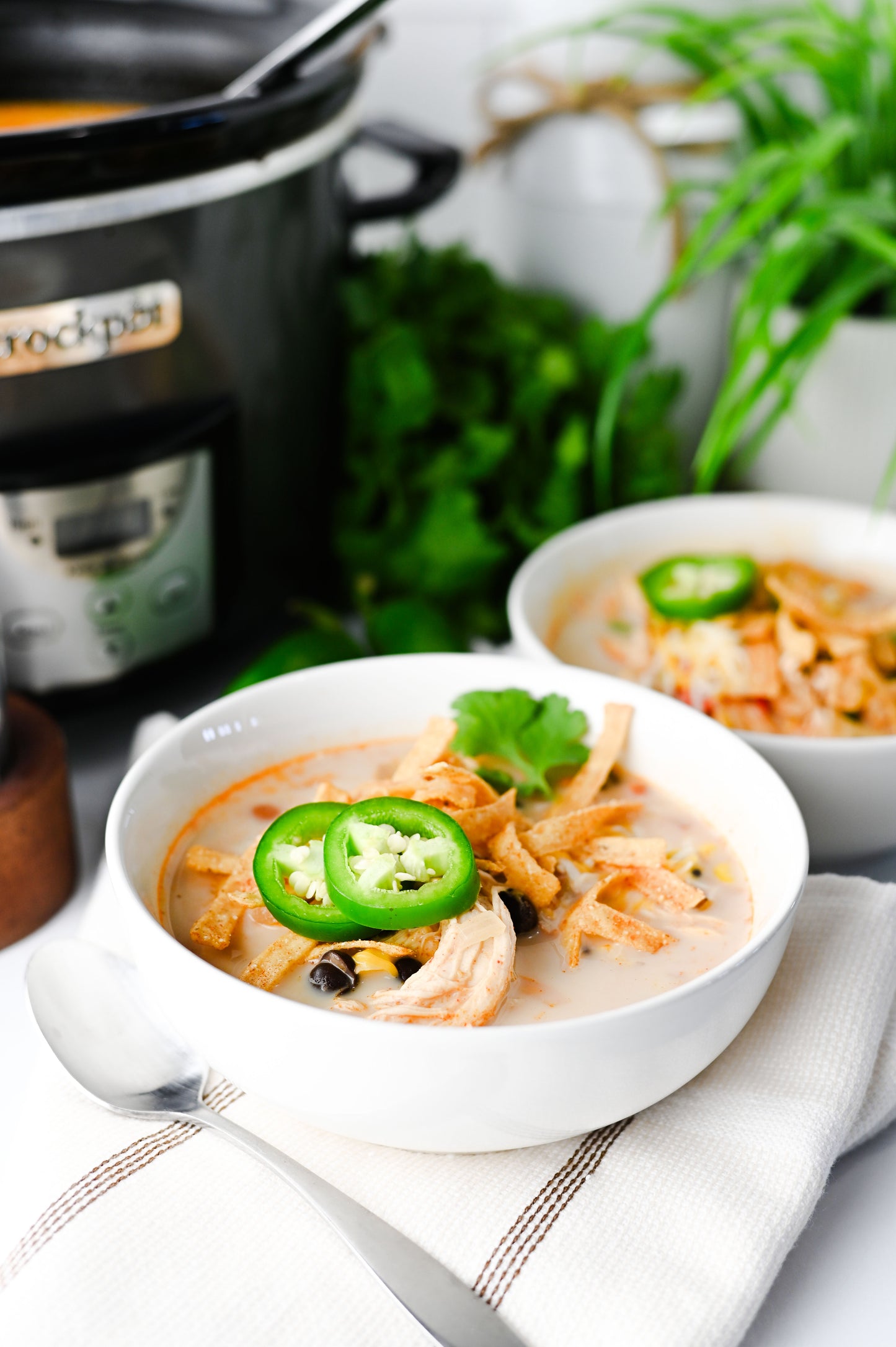 Slow Cooker Chicken Tortilla Soup Set #2