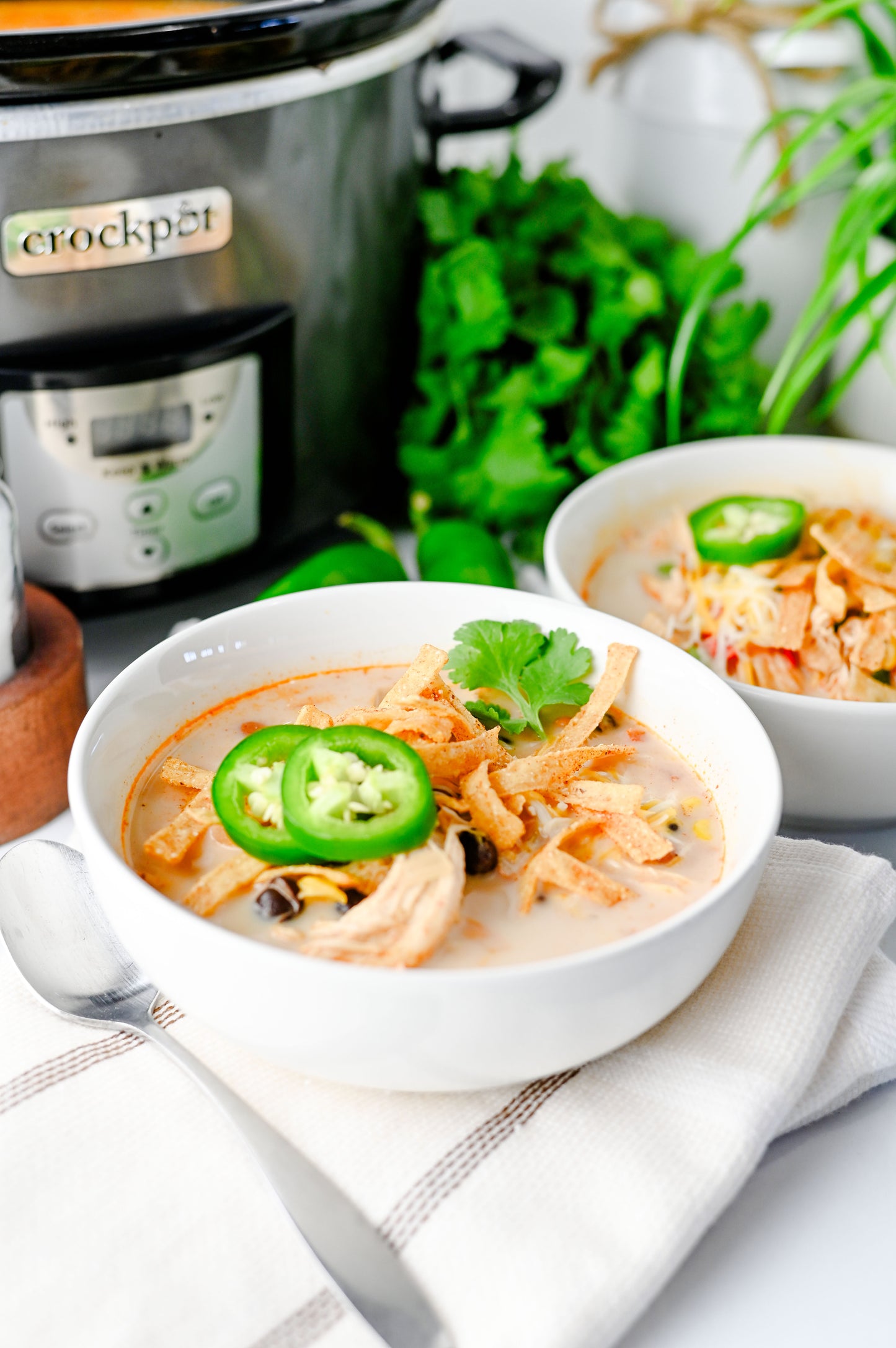 Slow Cooker Chicken Tortilla Soup Set #2