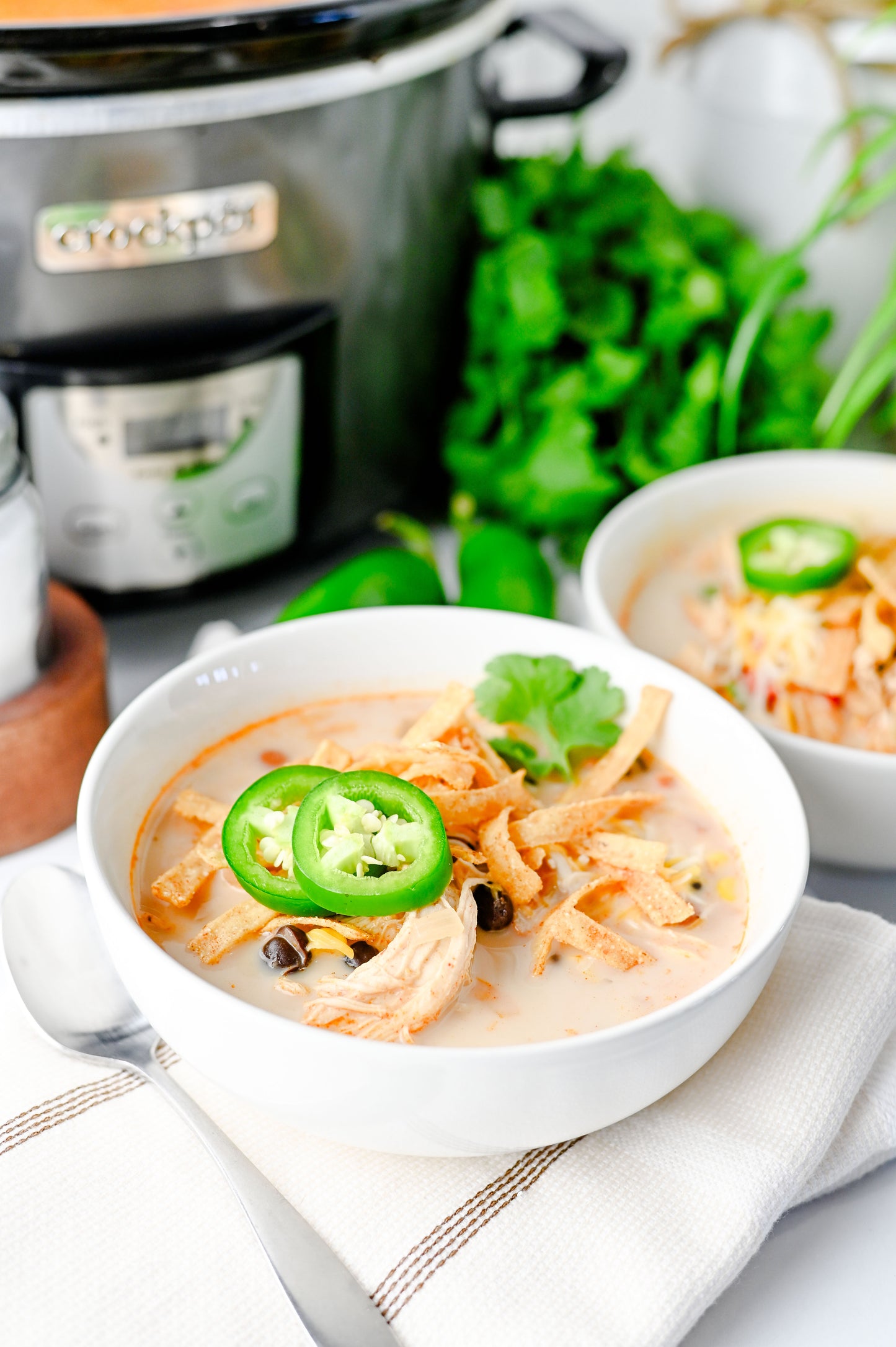 Slow Cooker Chicken Tortilla Soup Set #2