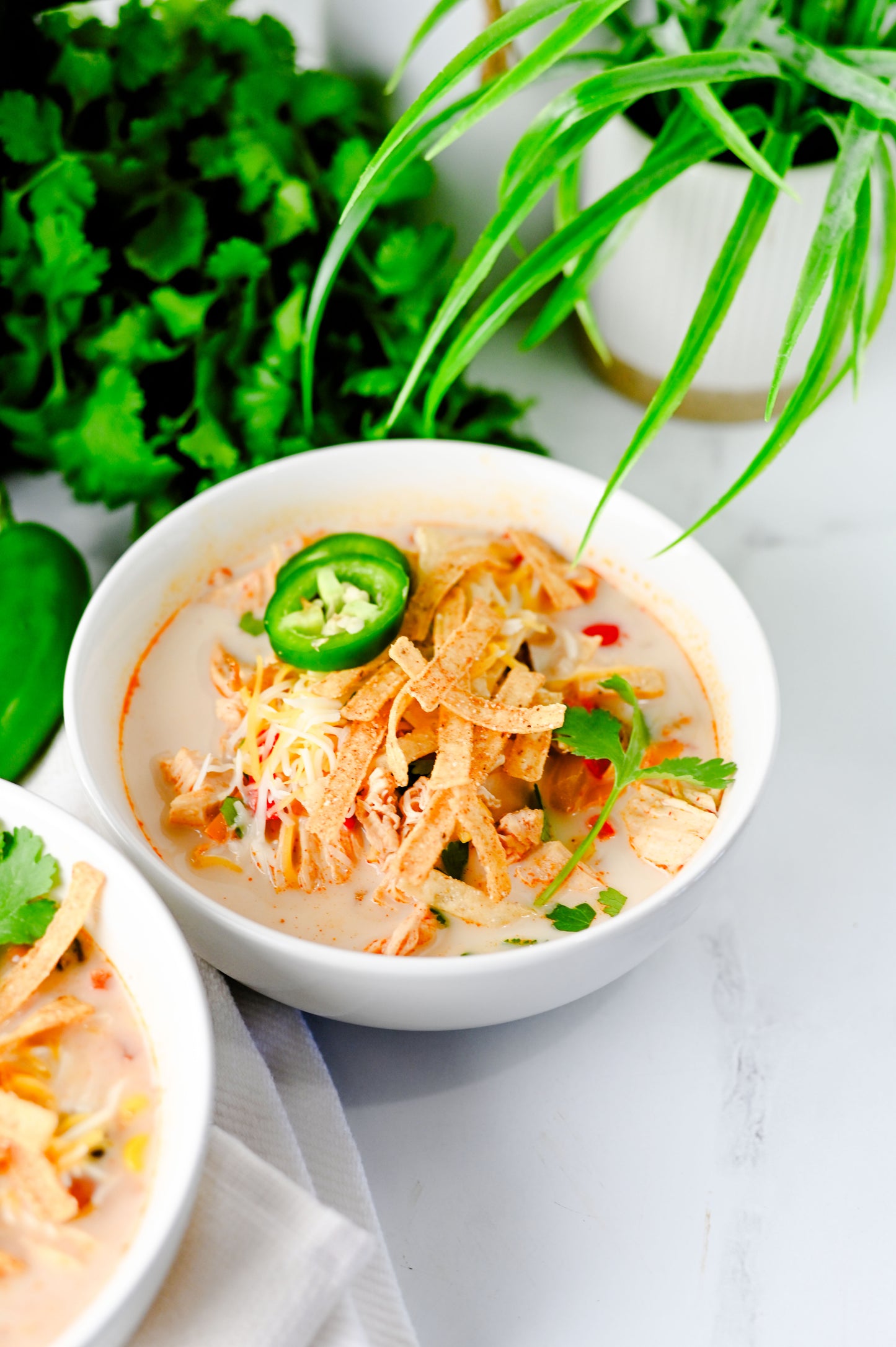 Slow Cooker Chicken Tortilla Soup Set #2
