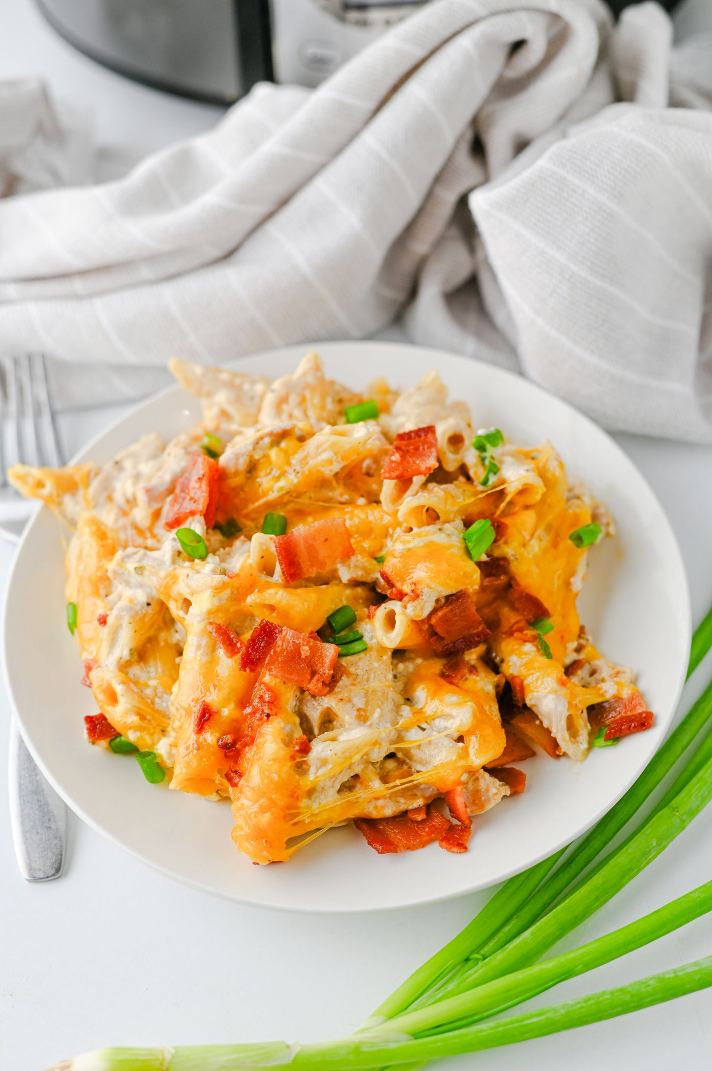 Crock Pot Crack Chicken Pasta Set #2