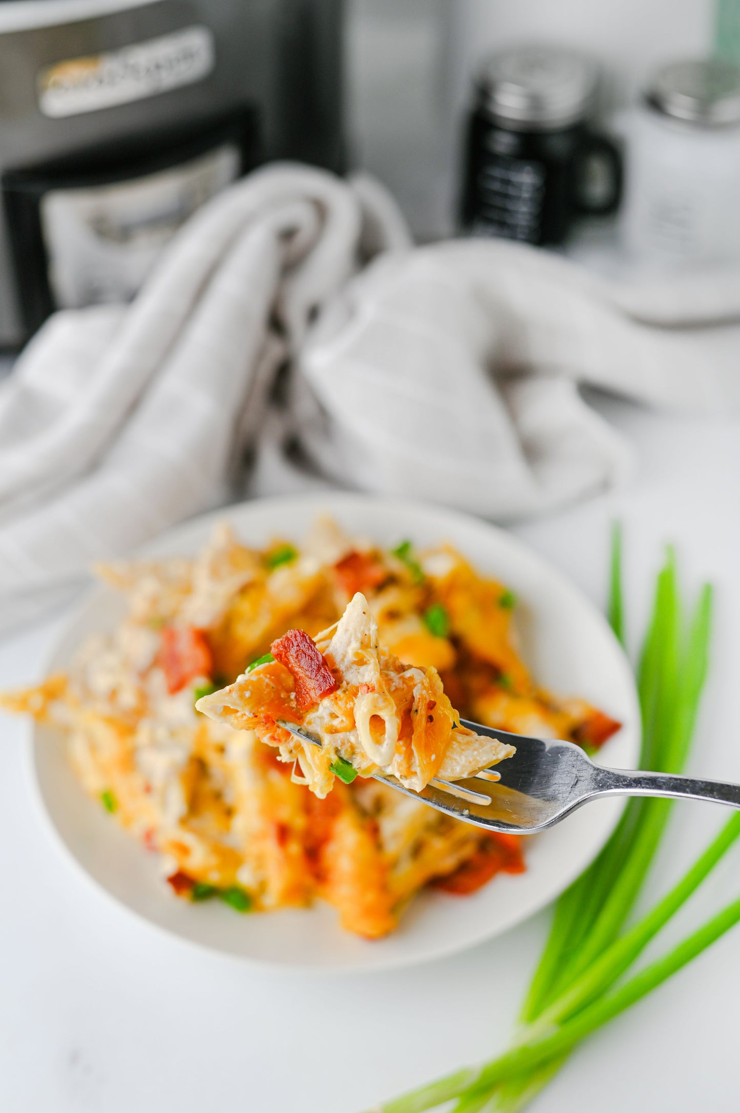 Crock Pot Crack Chicken Pasta Set #2