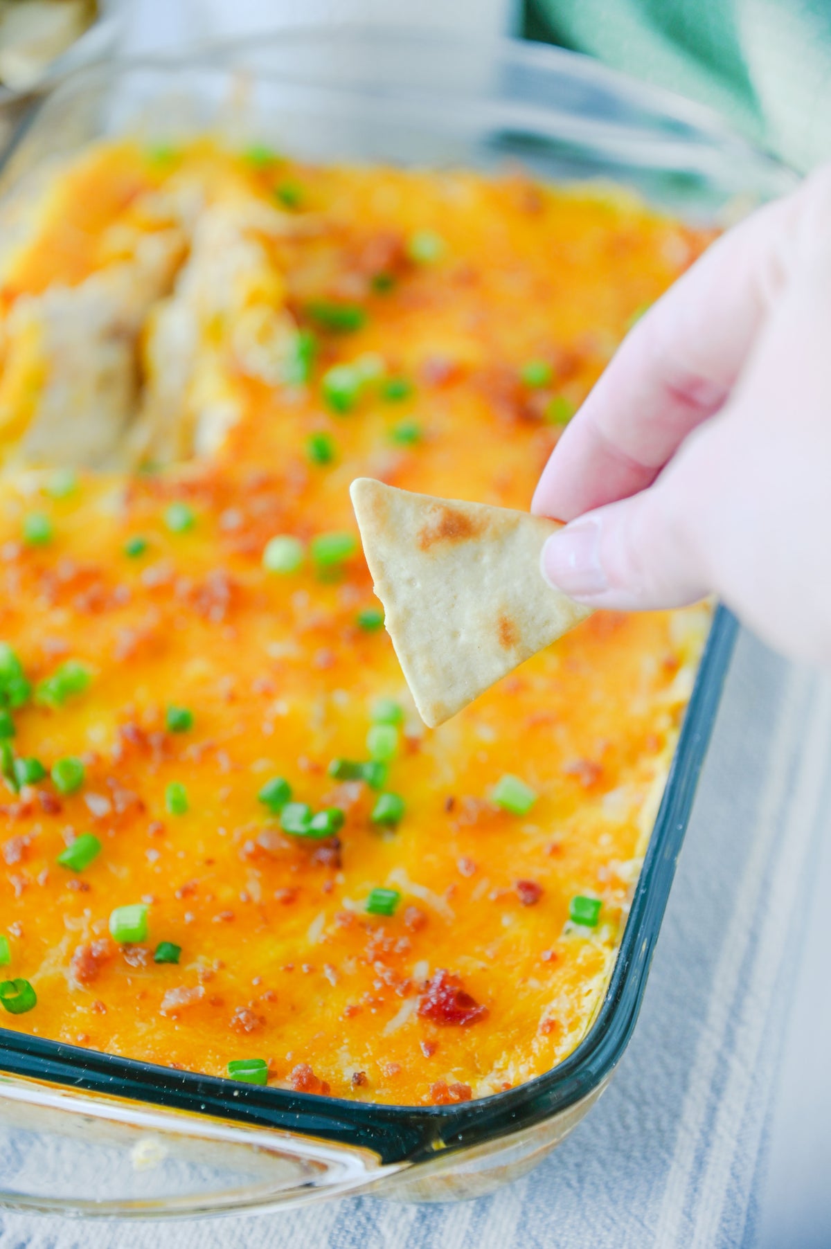 Crack Chicken Dip Set #2