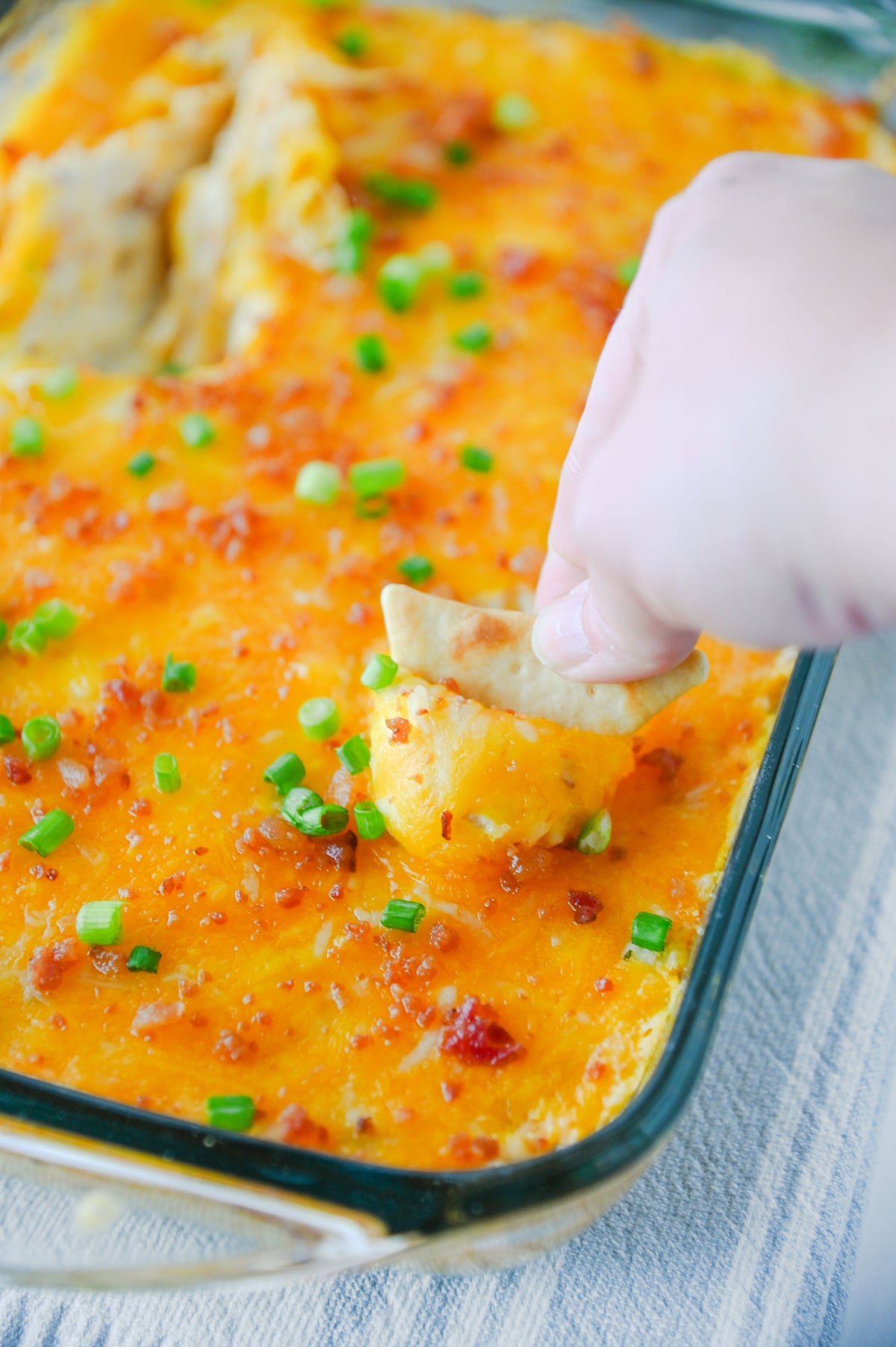 Crack Chicken Dip Set #2