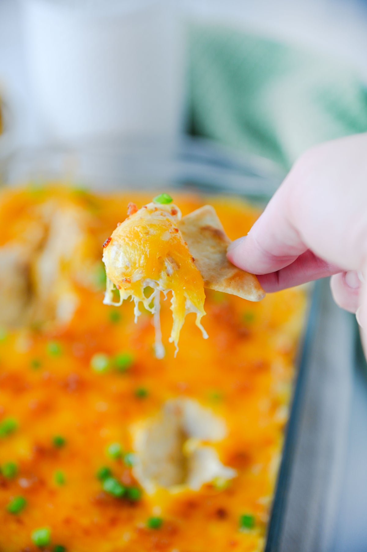 Crack Chicken Dip Set #2