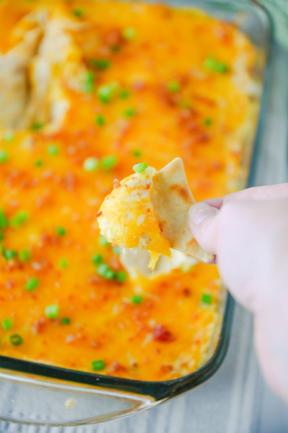 Crack Chicken Dip Set #2