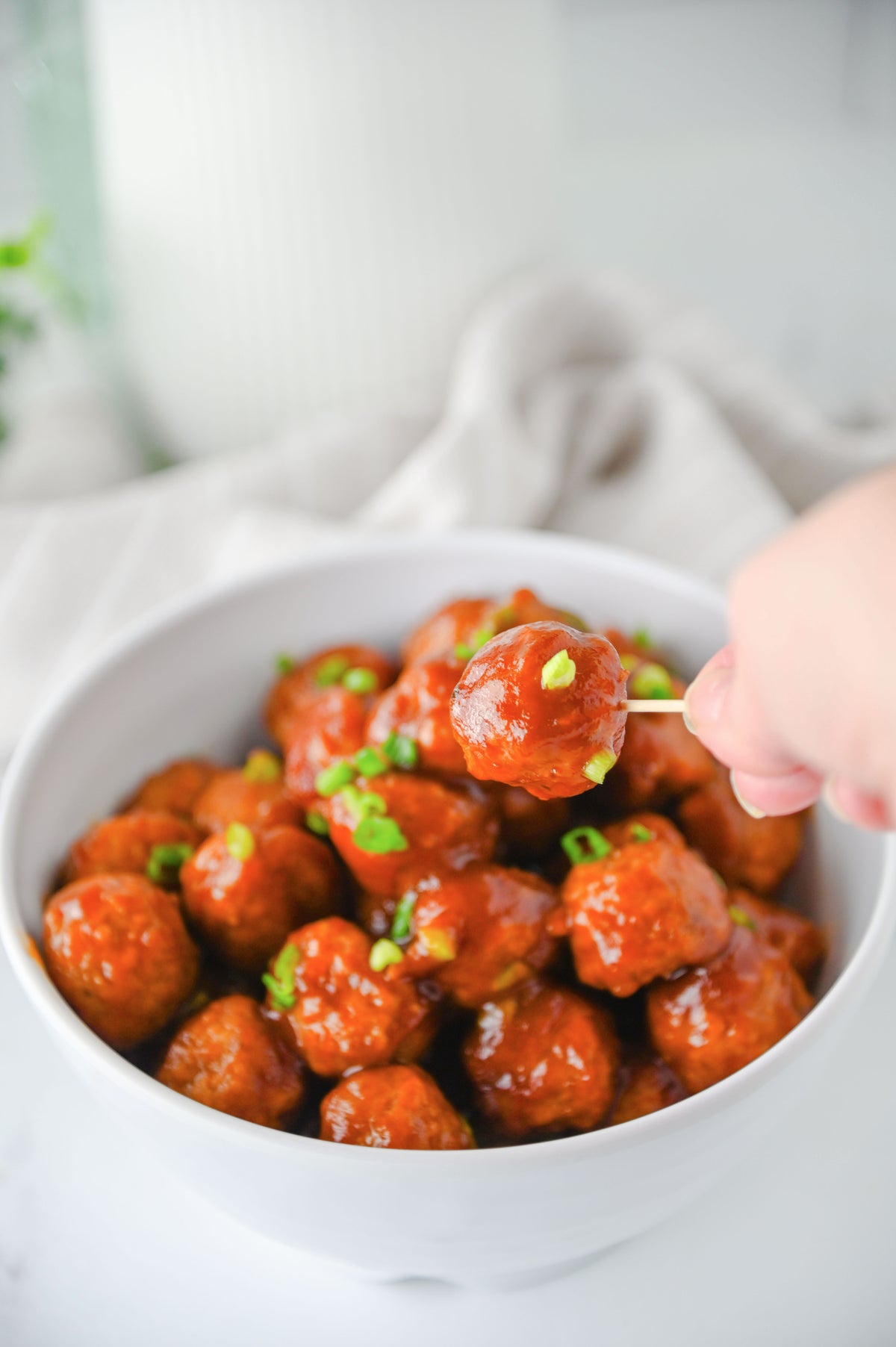 Cranberry Meatballs Set #2