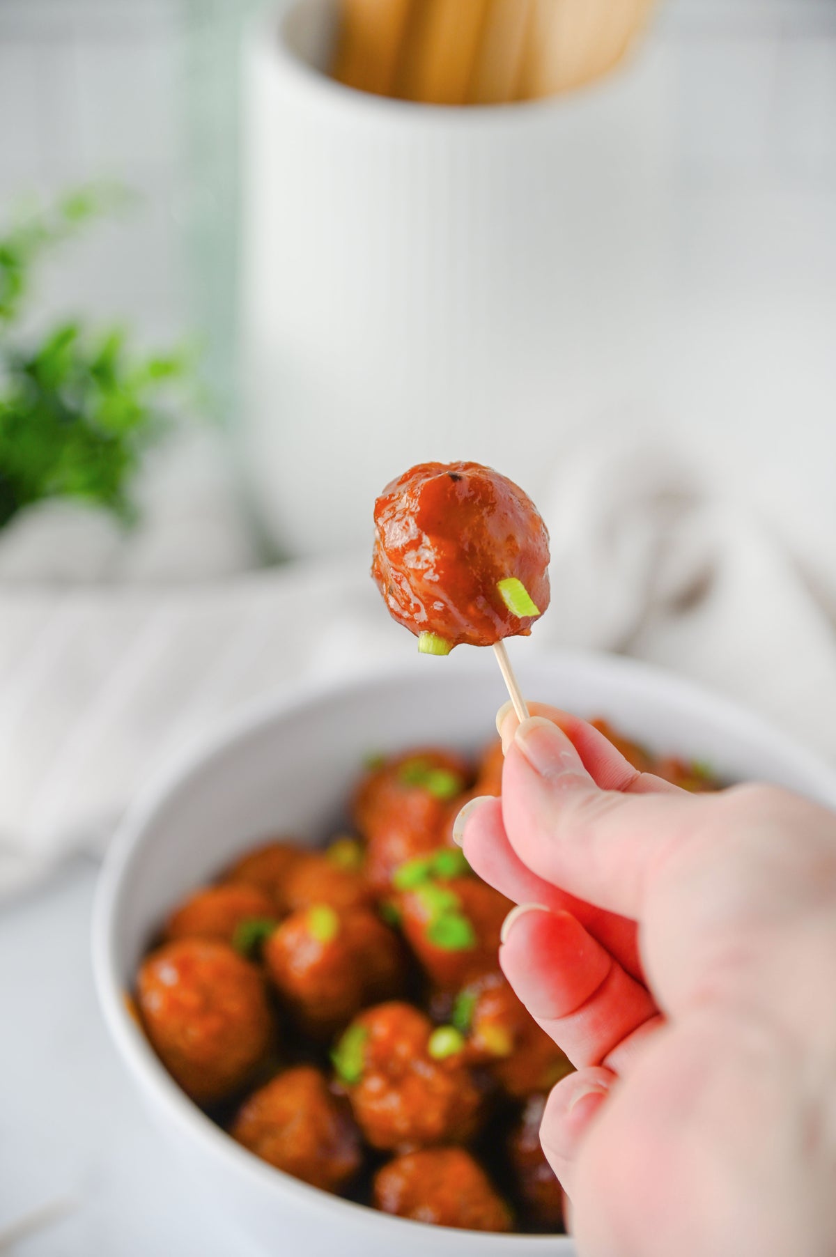 Cranberry Meatballs Set #2