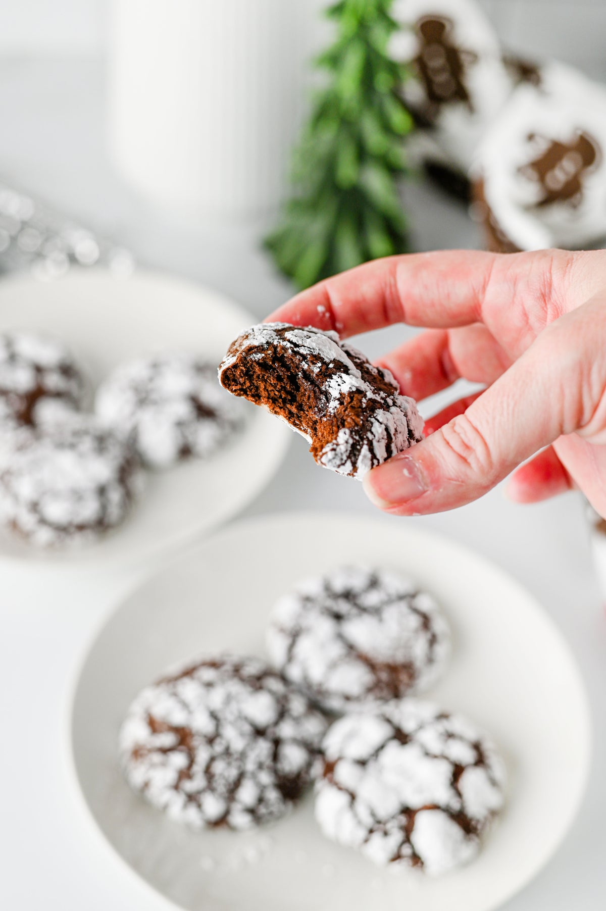 Chocolate Crinkle Cookies Set #2