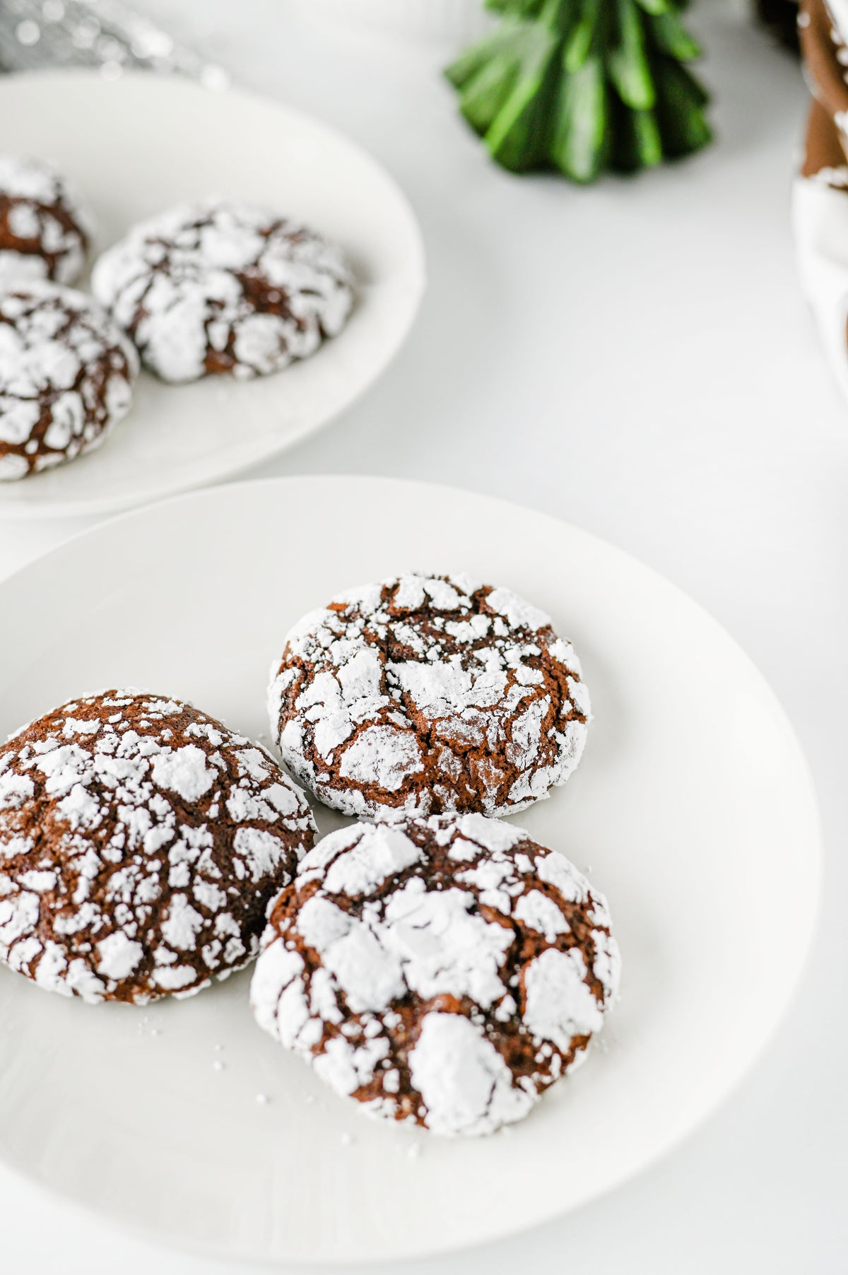 Chocolate Crinkle Cookies Set #2