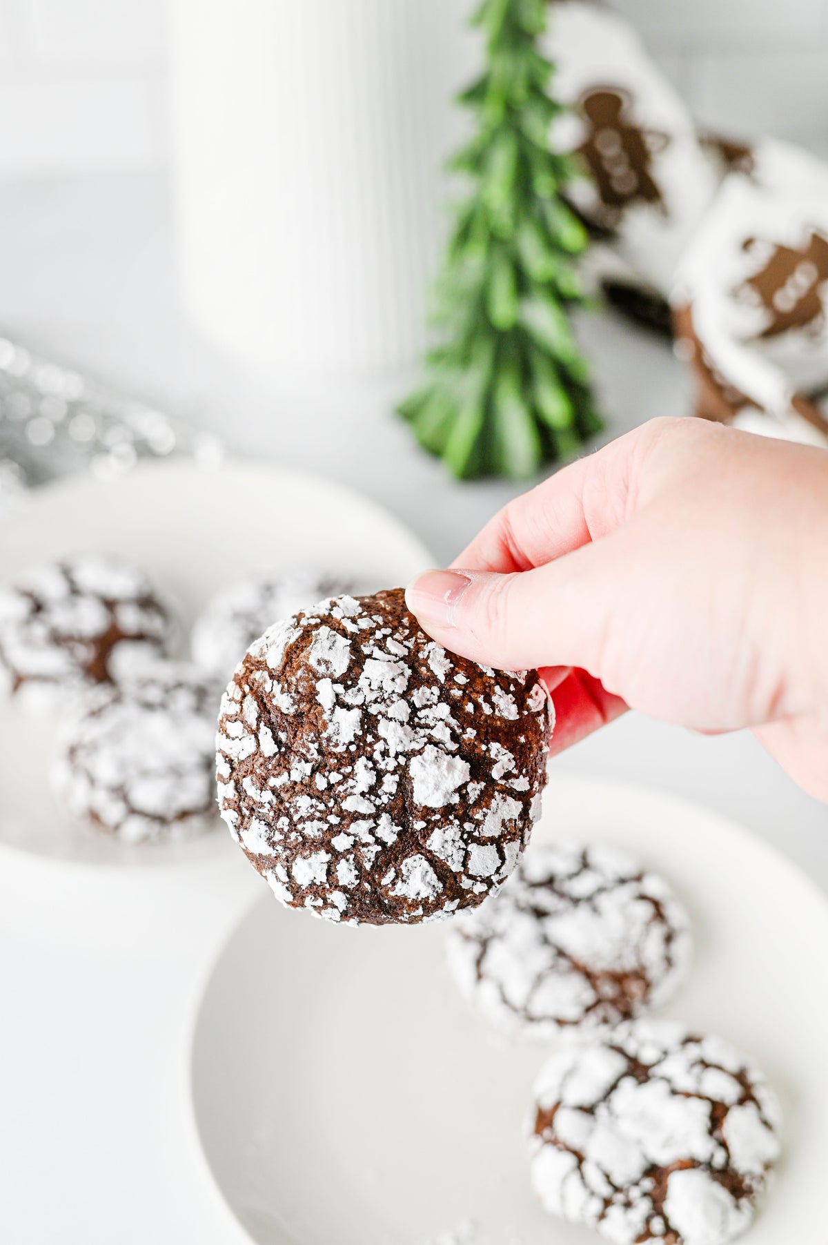 Chocolate Crinkle Cookies Set #2