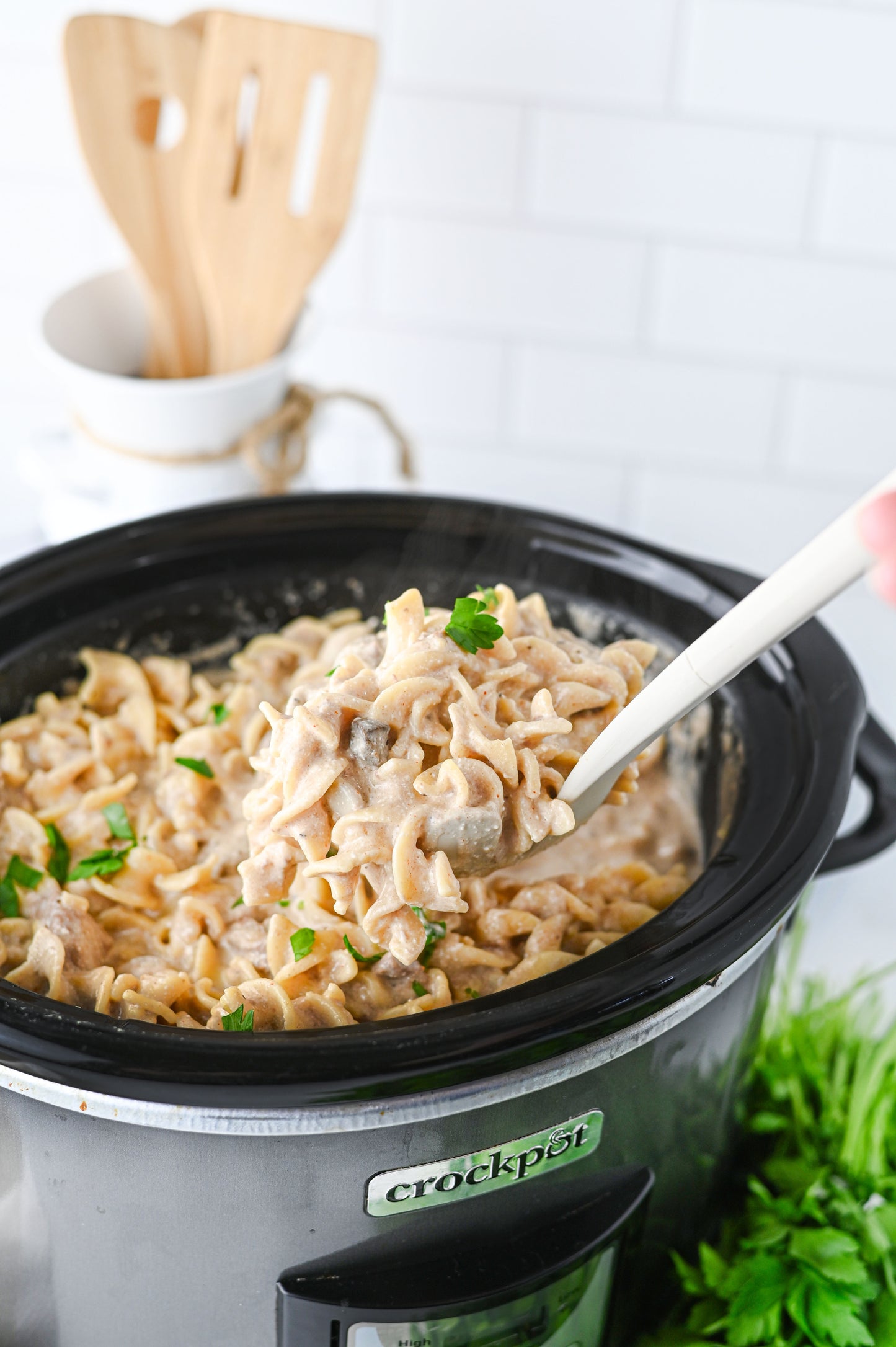 Crock Pot Beef Stroganoff Set #2