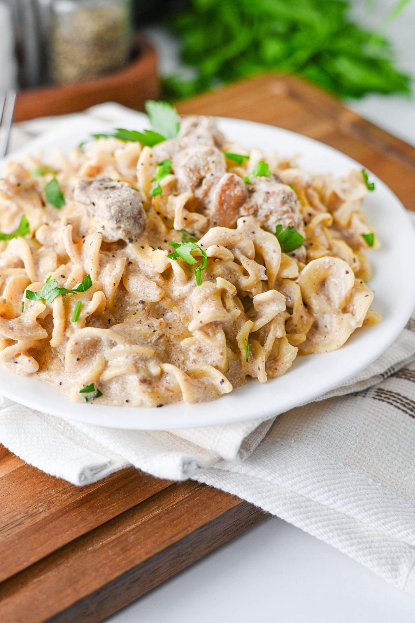 Crock Pot Beef Stroganoff Set #2