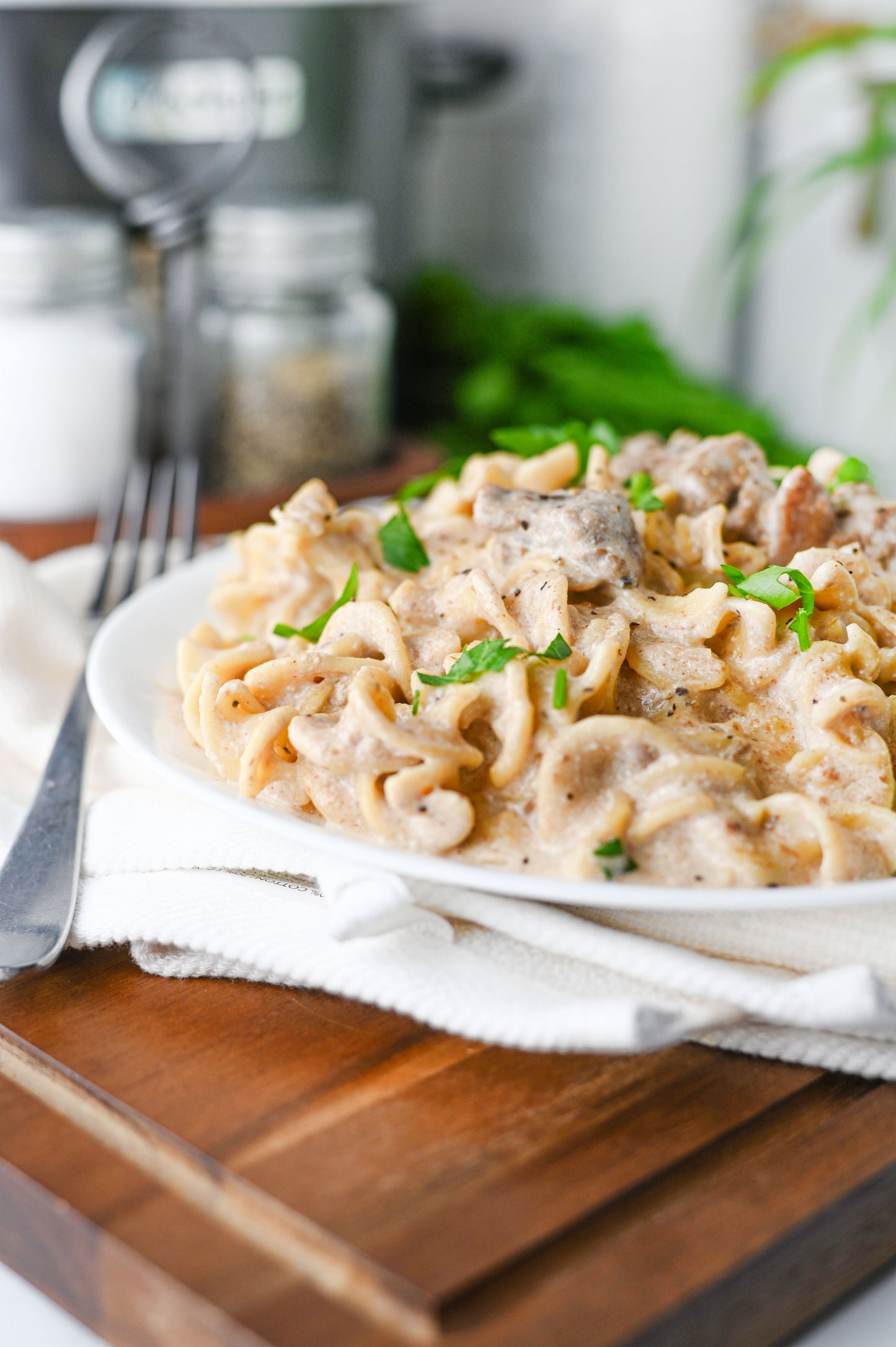 Crock Pot Beef Stroganoff Set #2