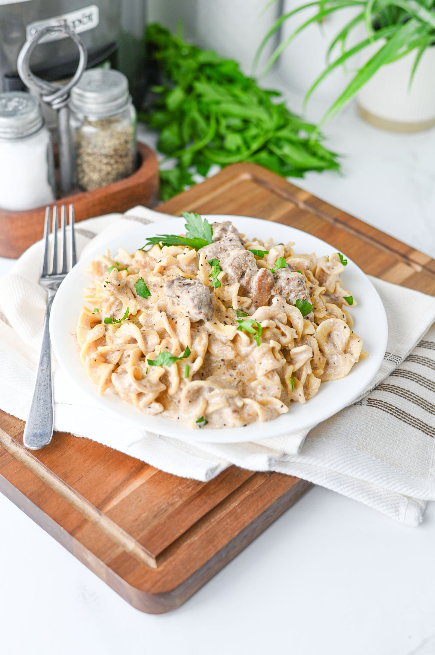 Crock Pot Beef Stroganoff Set #2