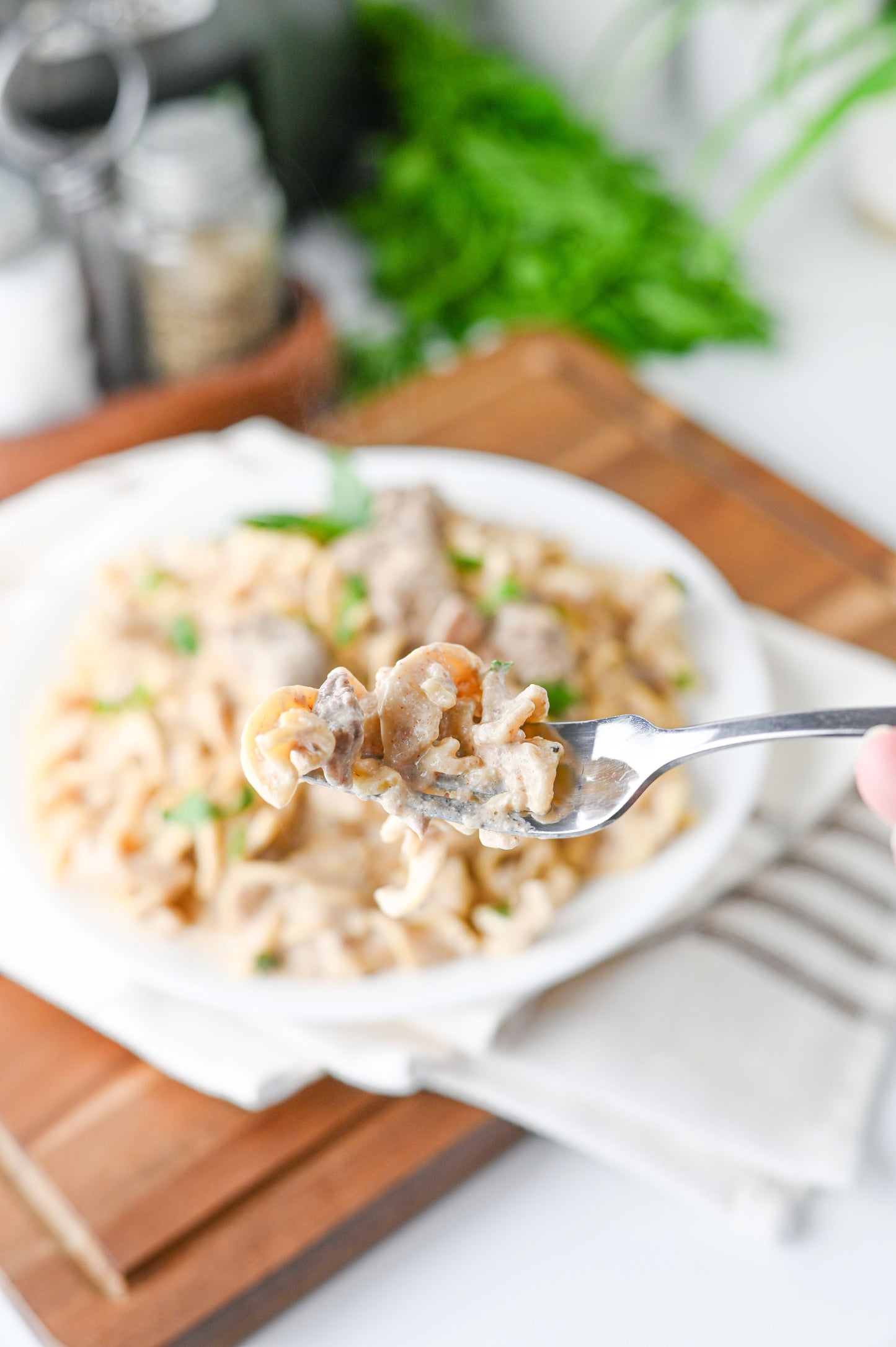 Crock Pot Beef Stroganoff Set #2